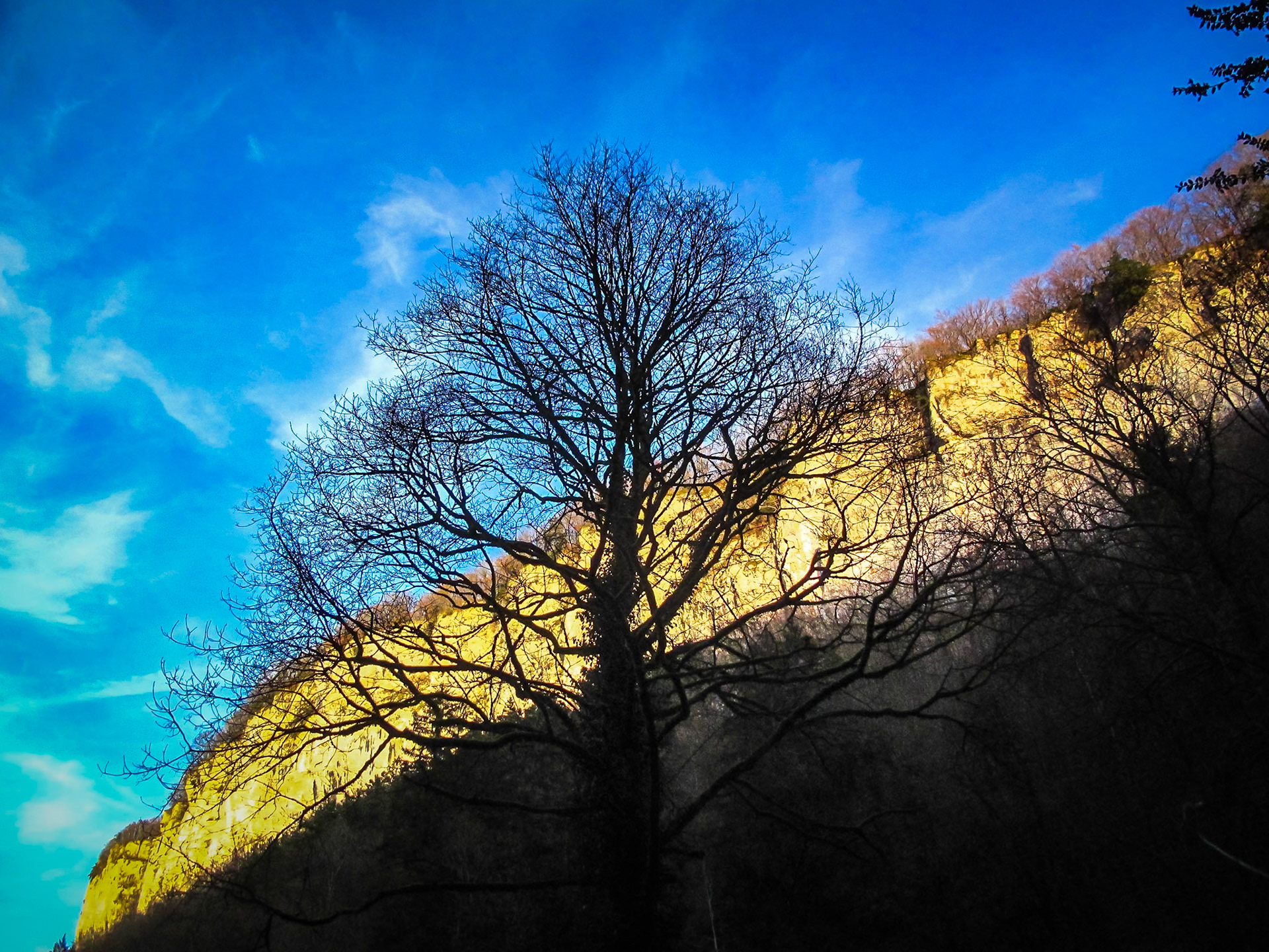 Dans l'ombre