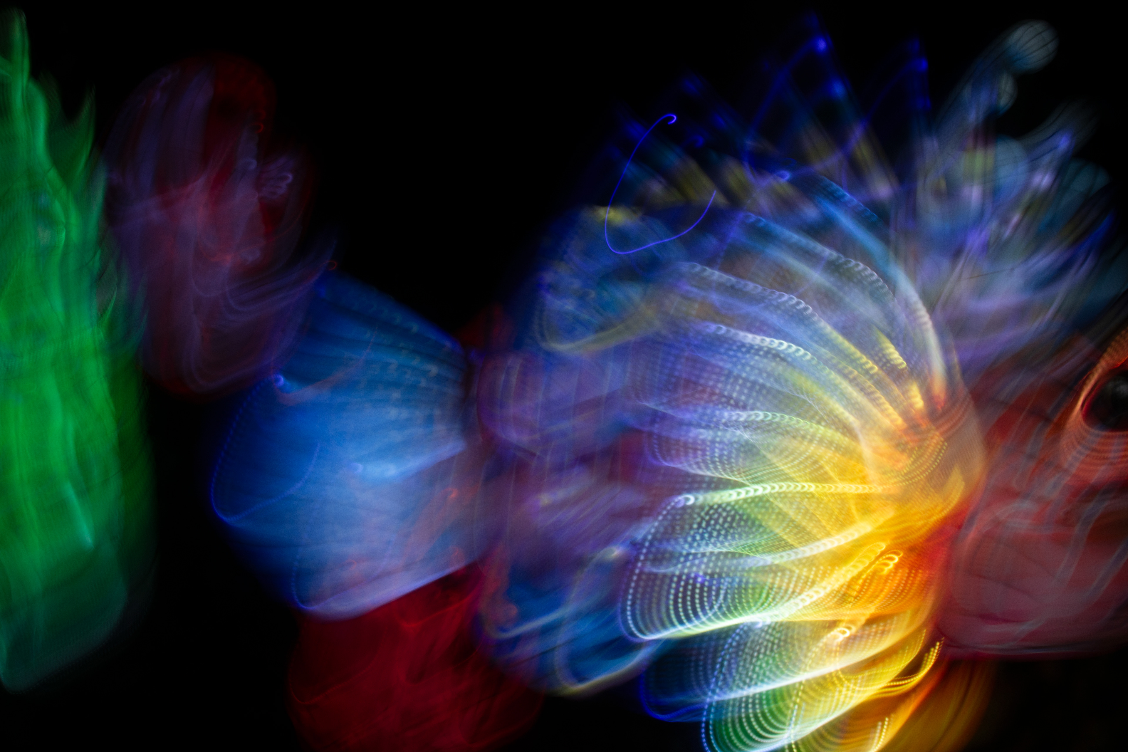 3. 'Fire Fish' 2026. Go to bottom of page for Image Description 