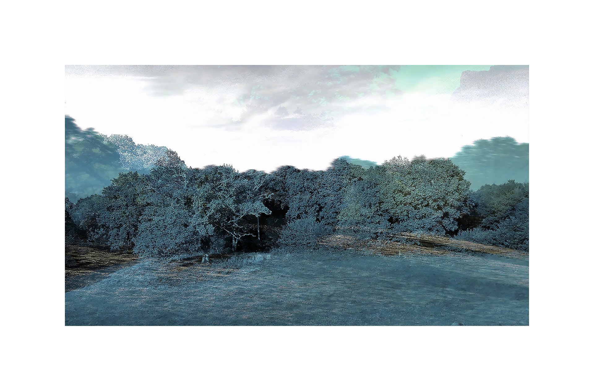 Trees & Keys 20176