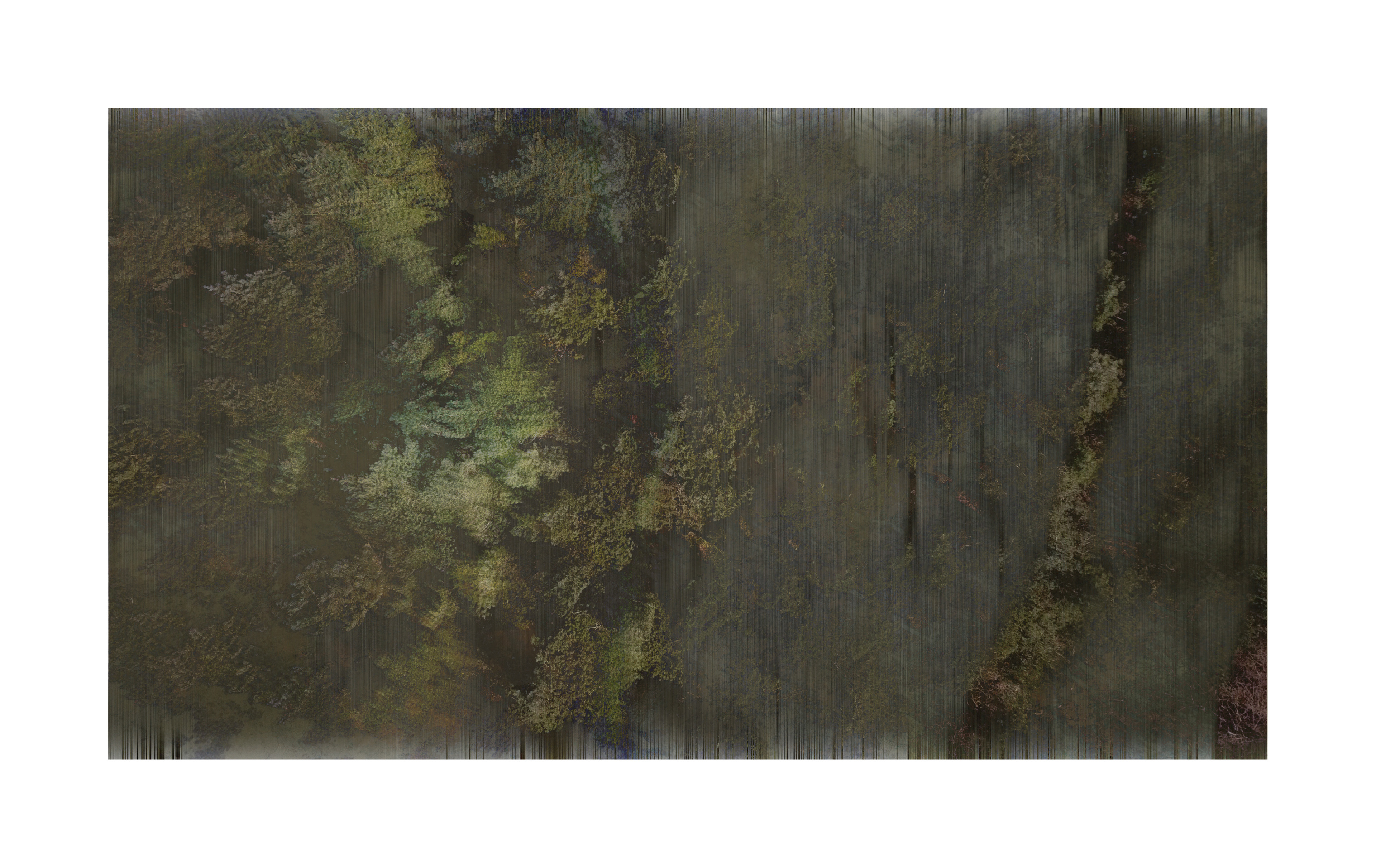 Grounds 4