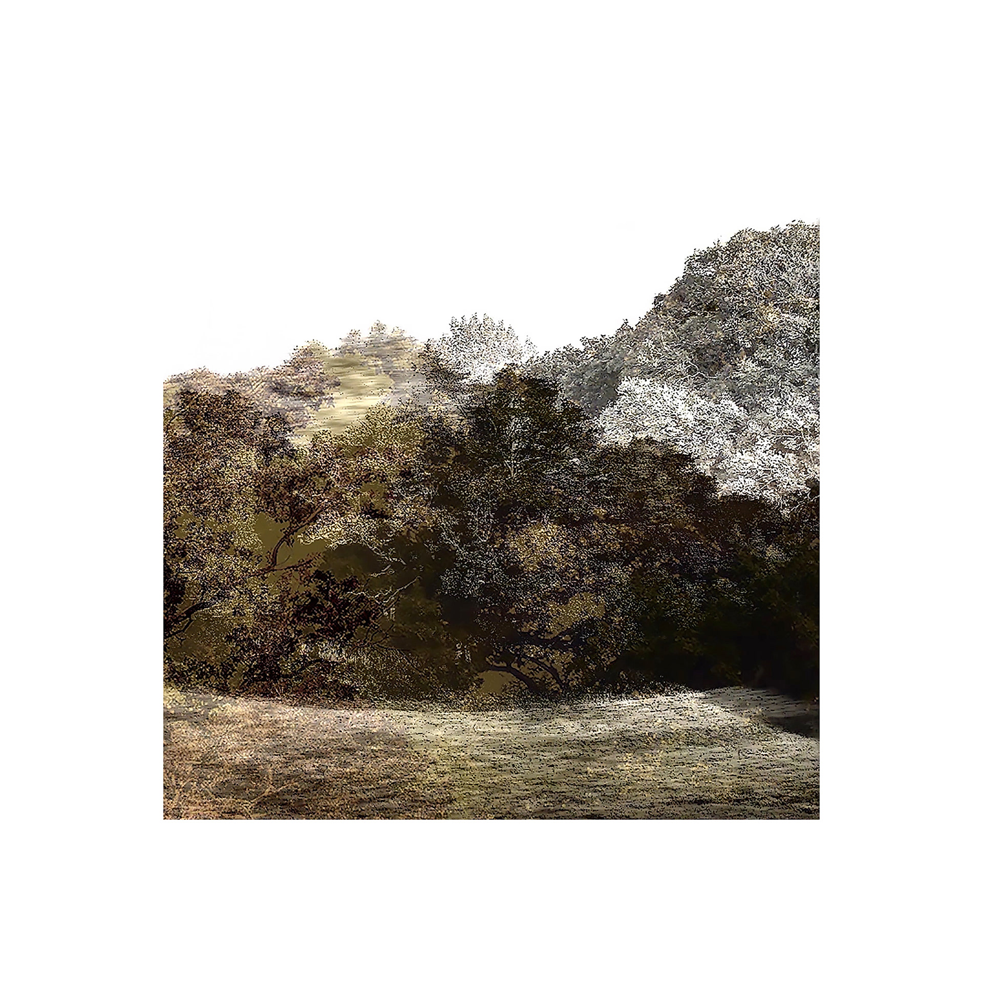 Trees & Keys 3360