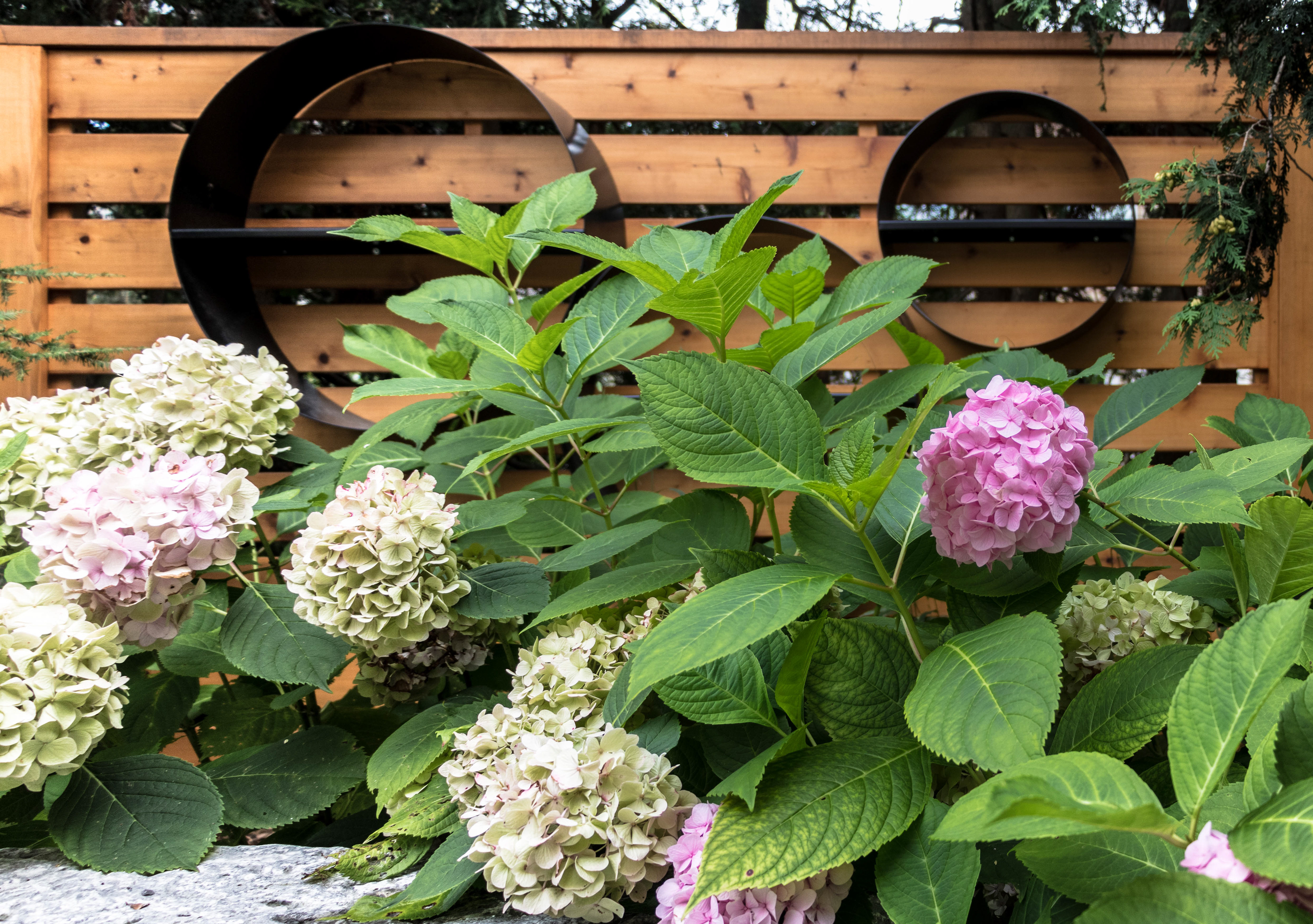 Leaside Landscaping - Toronto, ON