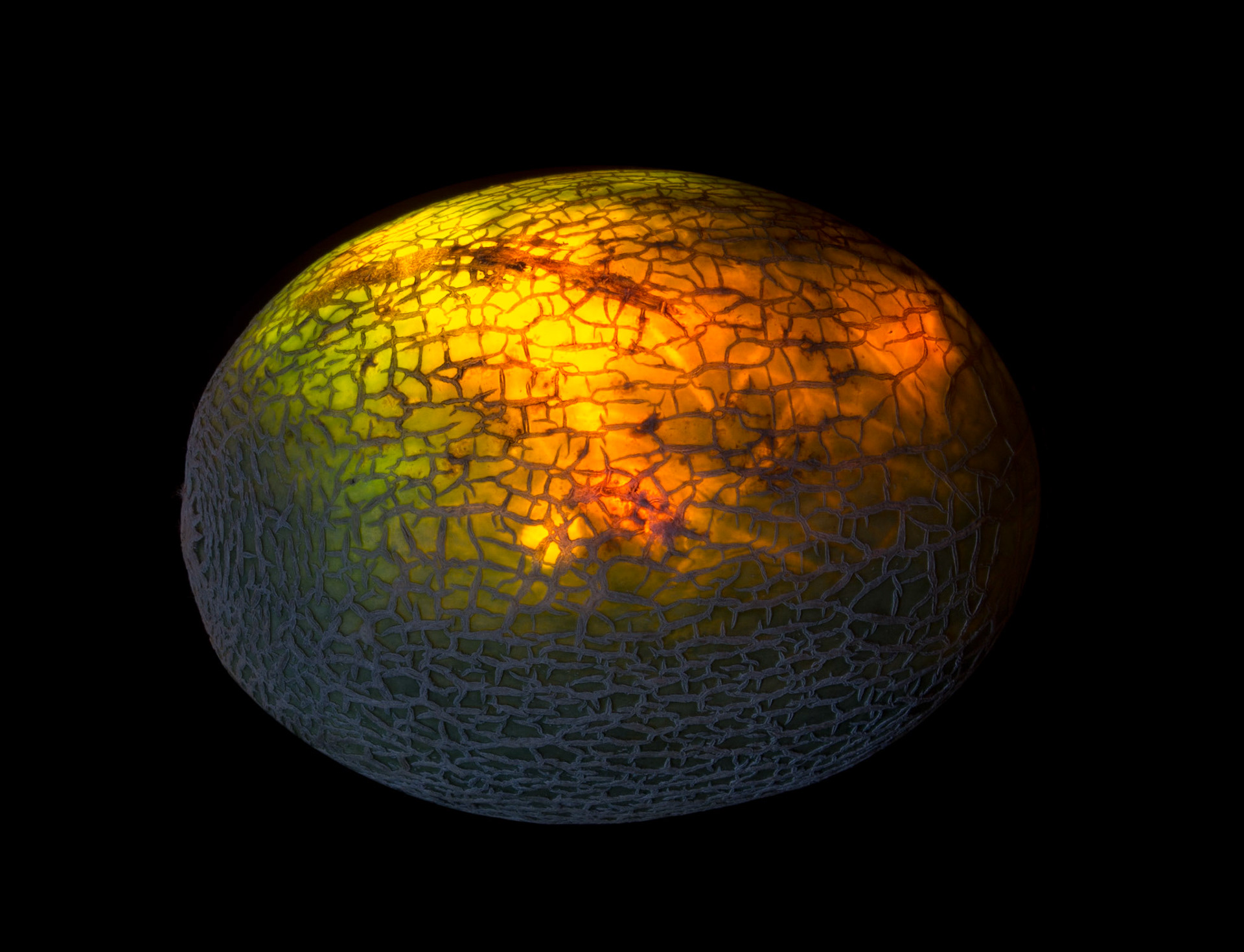 Cantaloupe (Rockmelon)