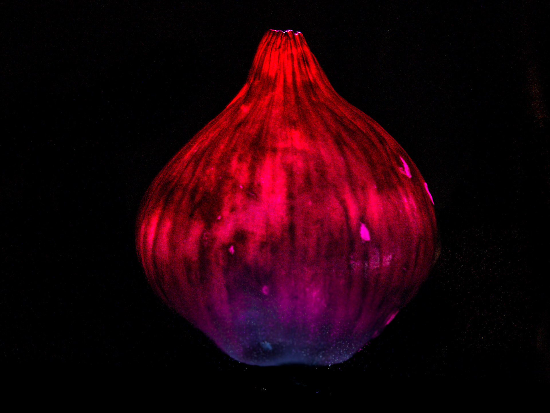 Red Onion