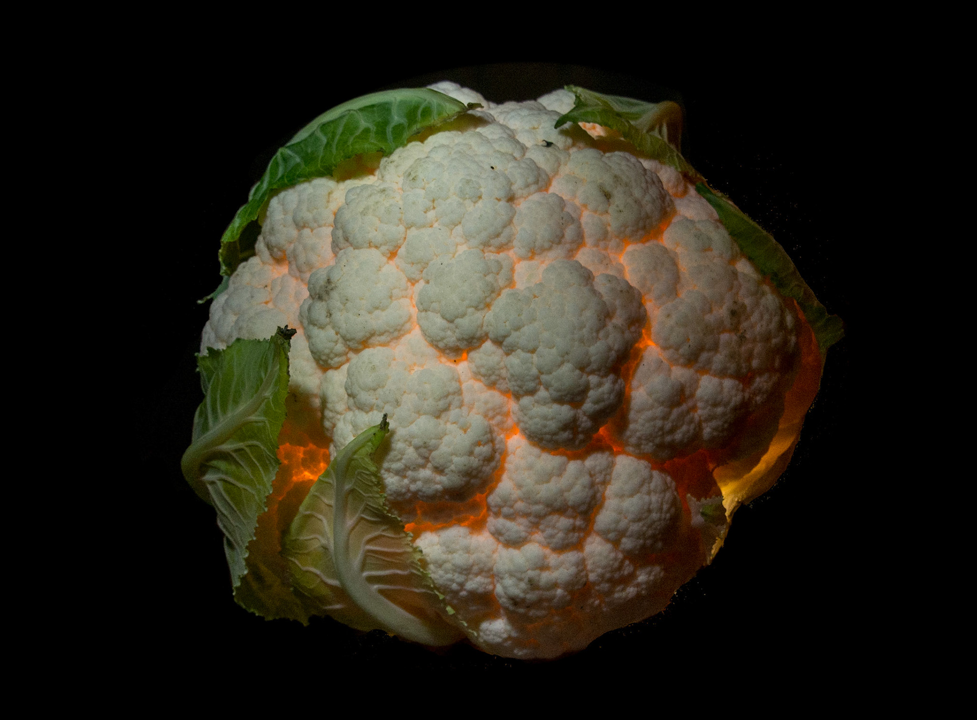 Cauliflower
