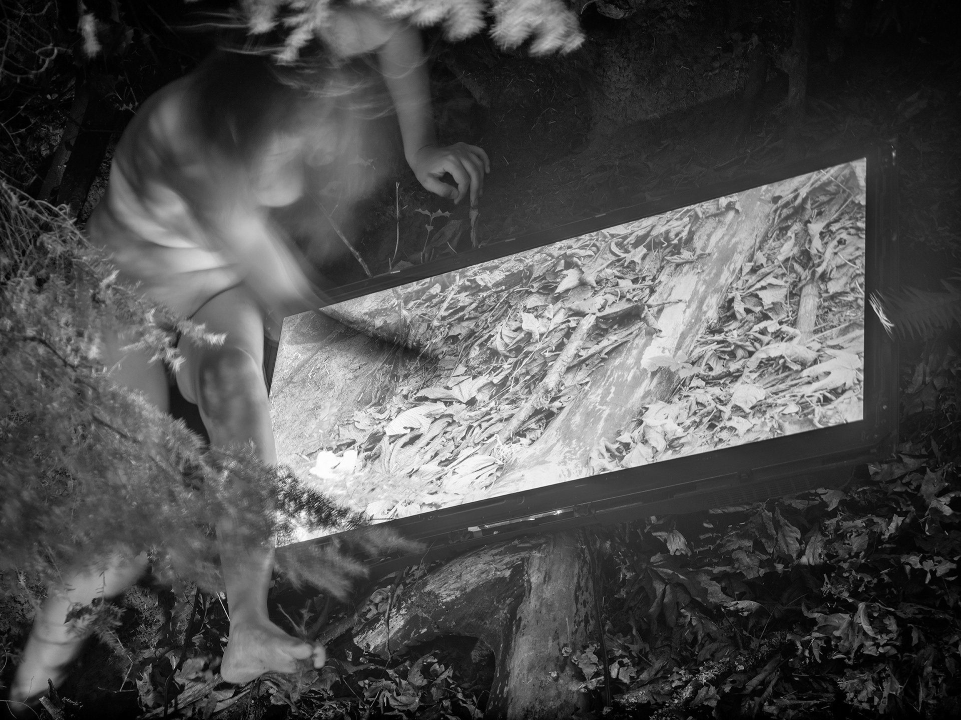 The North American LCD no 18. , 2024, 30”x40”, pigment print