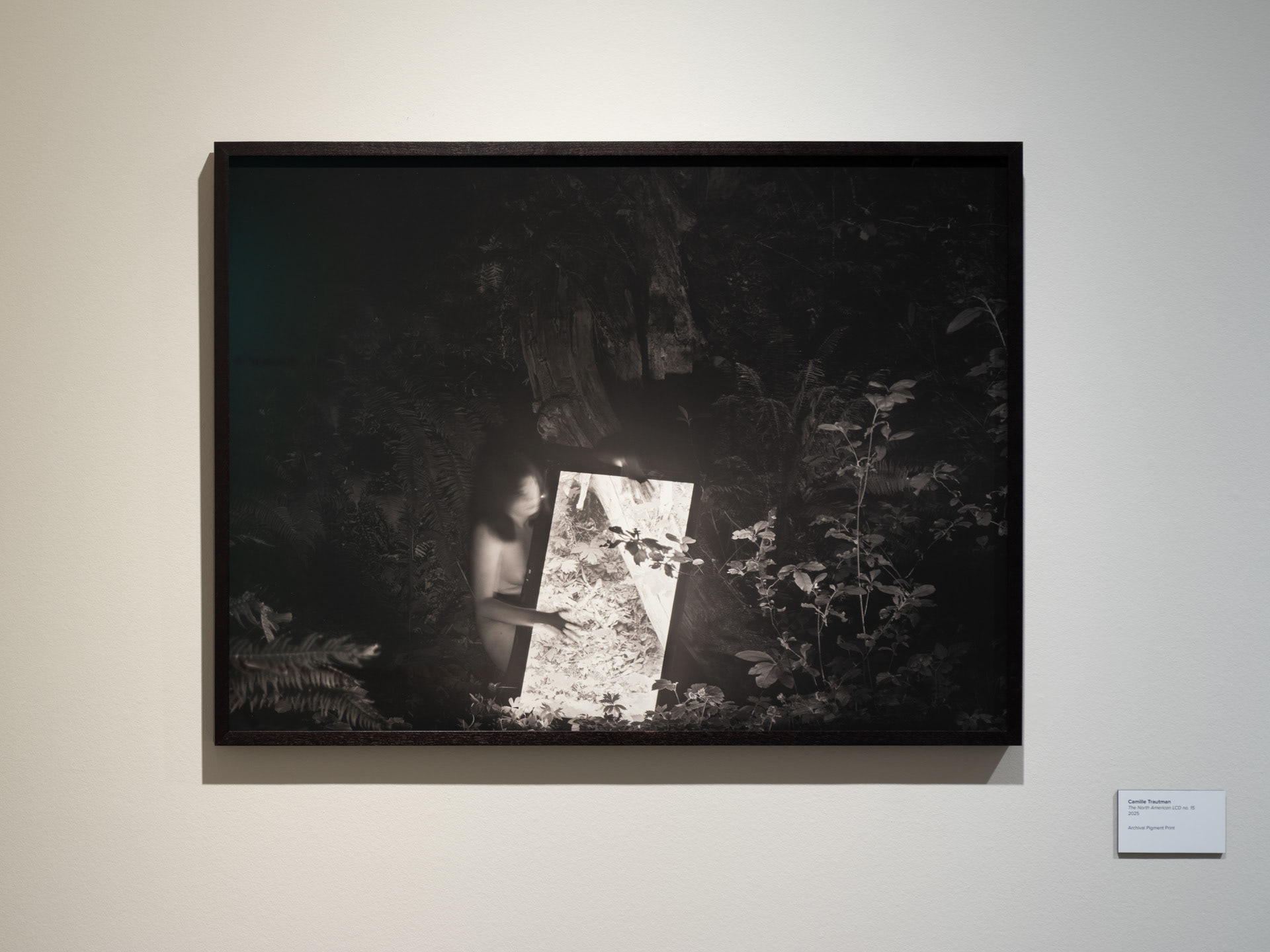 Installation View, Center for Creative Photography