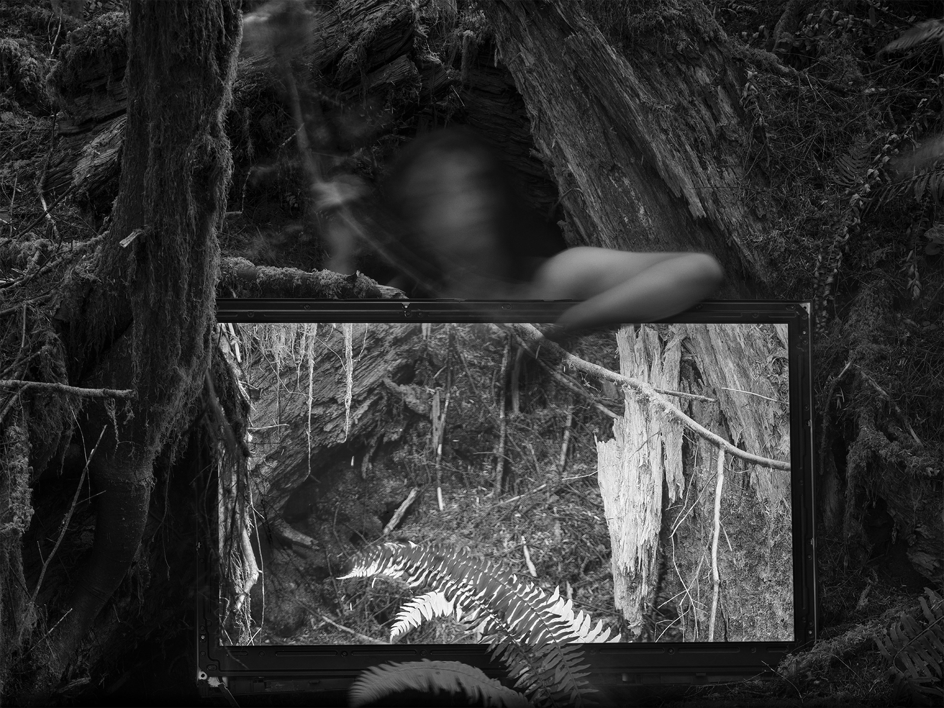 The North American LCD no 20., 2024, 30”x40”, pigment print