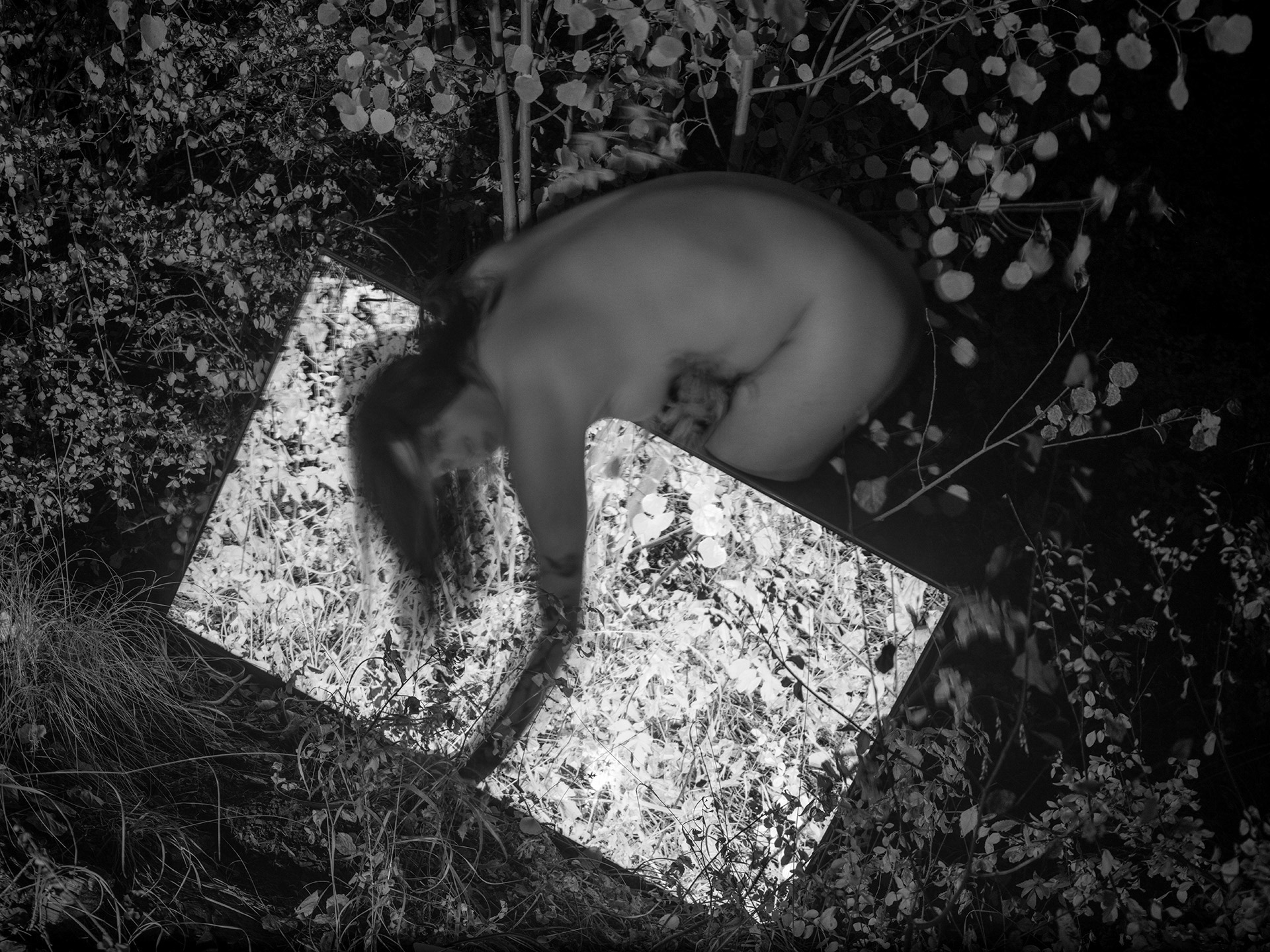 The North American LCD no 25. , 2024, 30”x40”, pigment print