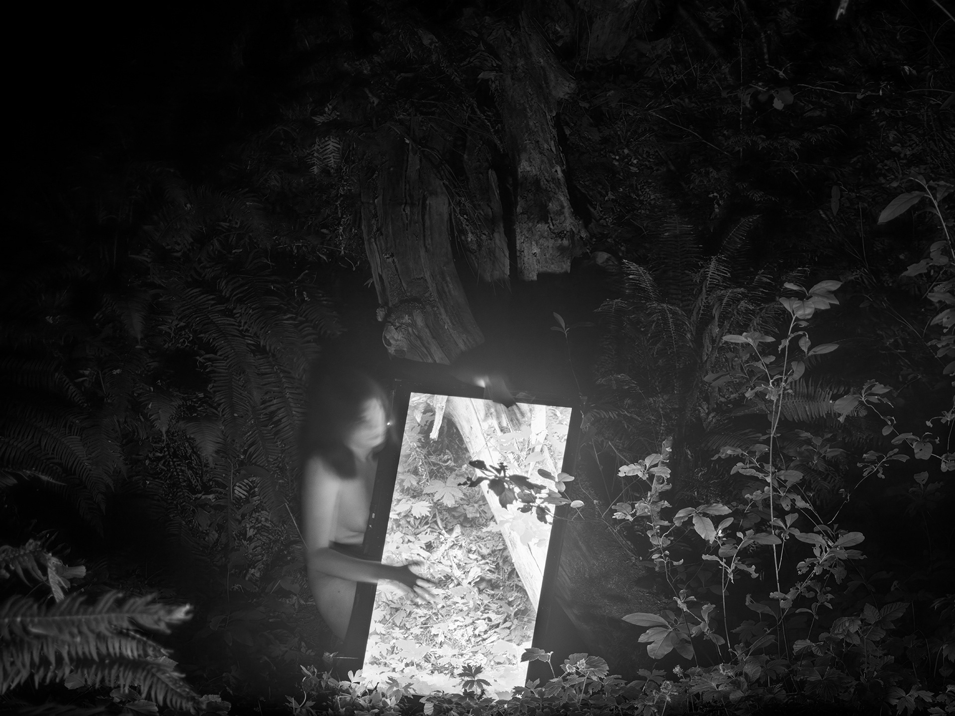 The North American LCD no 15. , 2024, 30”x40”, pigment print