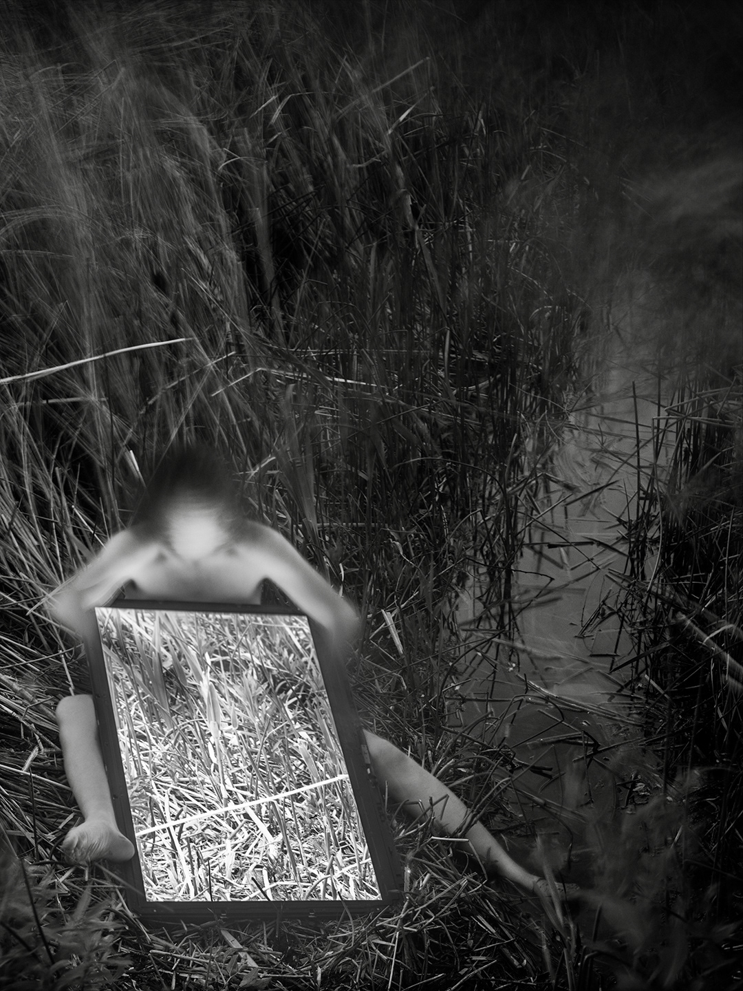 The North American LCD no 14. , 2024, 30”x40”, pigment print