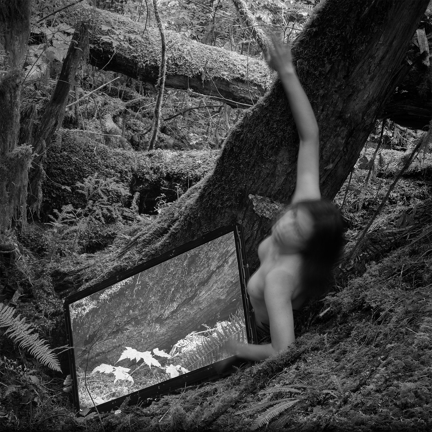 The North American LCD no 23. , 2024. , pigment print, 30”x30”