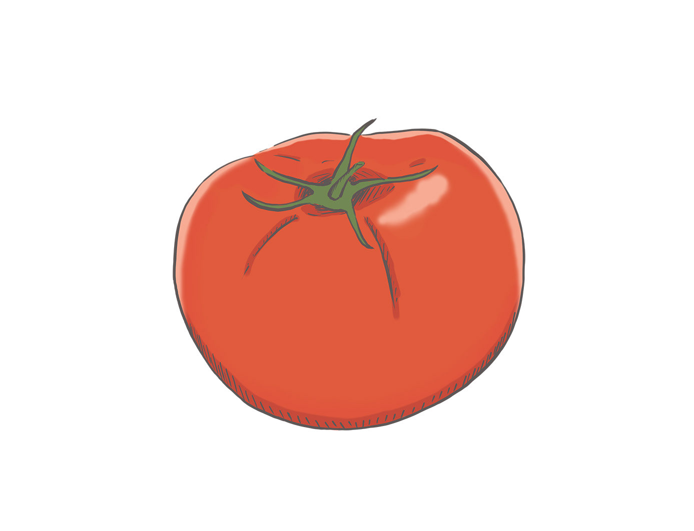 線画で立体と質感を表現したシンプルな食品イラスト。最小限の色数で汎用性を高めています。