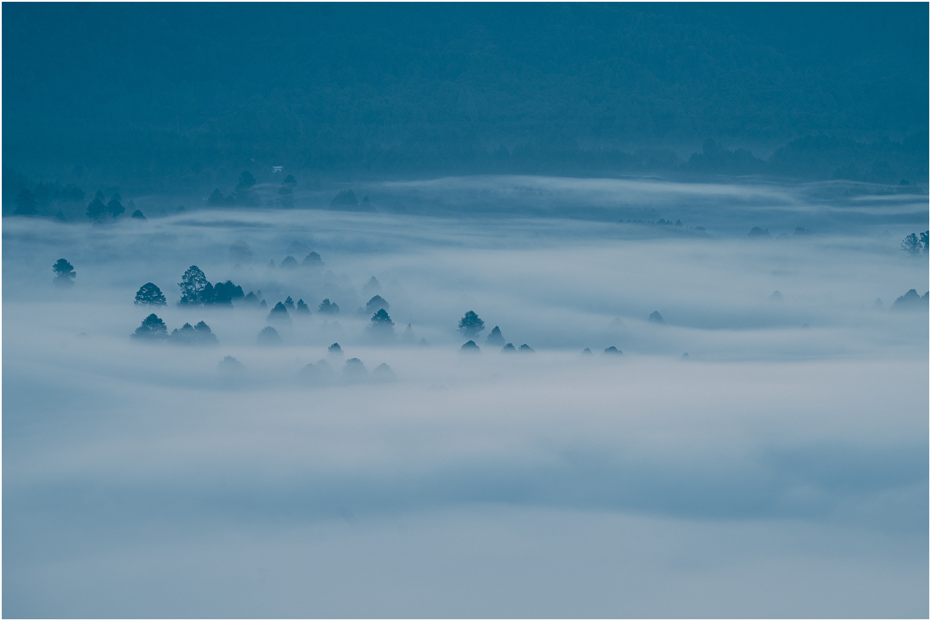Early morning fog over the valley