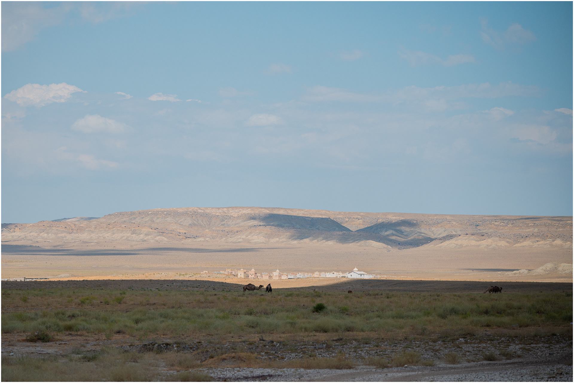 Camels in front of a Muslim cemetery in the middle of the desert