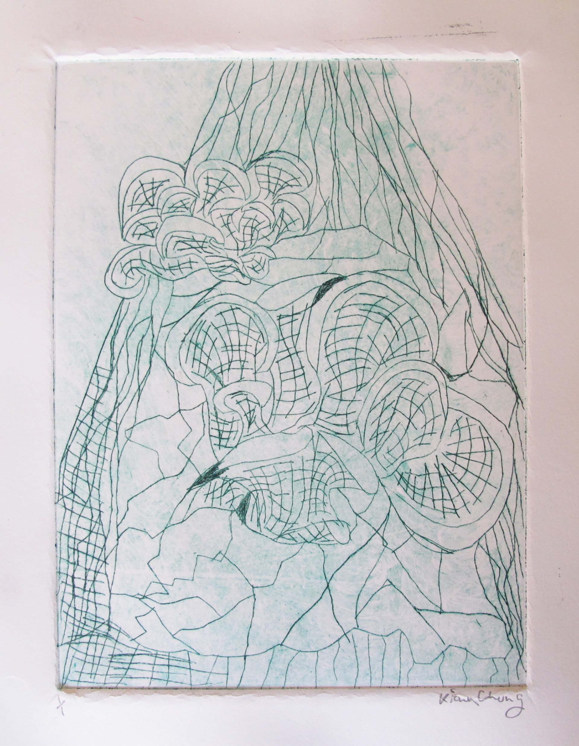 Symbiosis Lite
