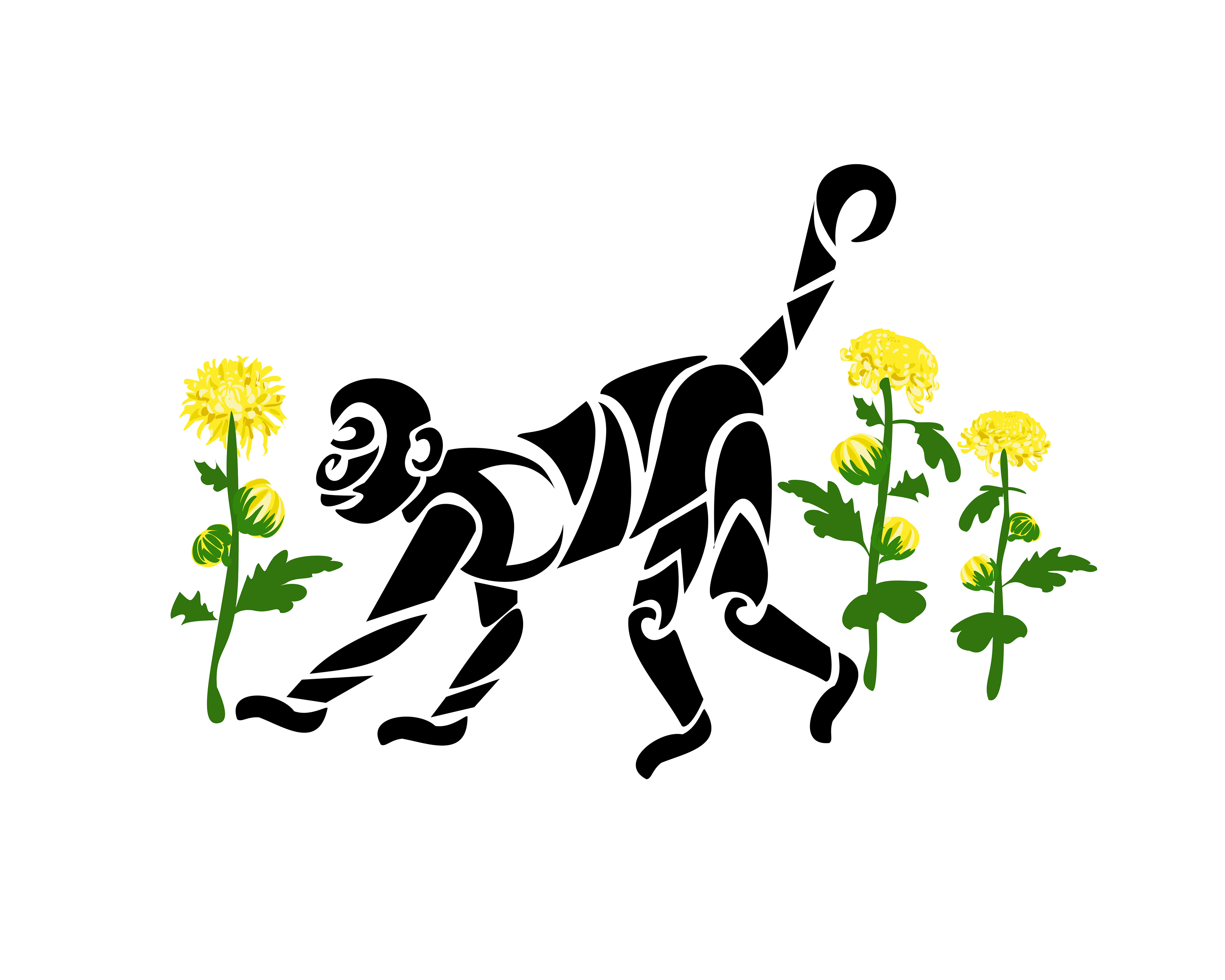 The Monkey