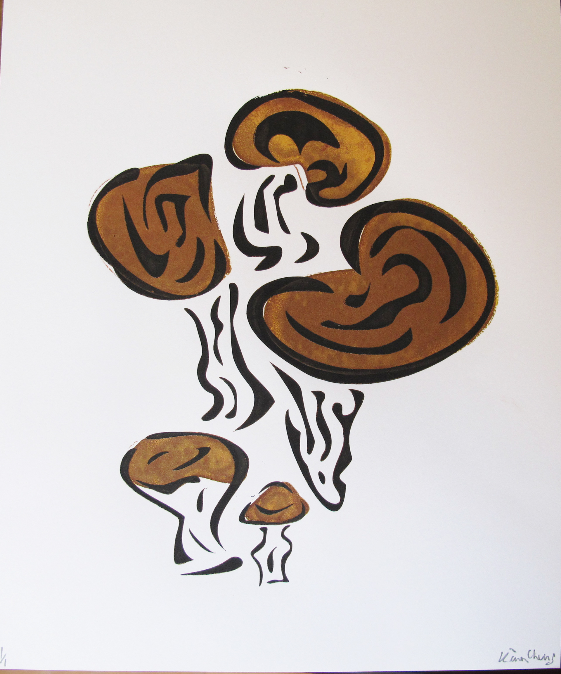 5 Mushroom
