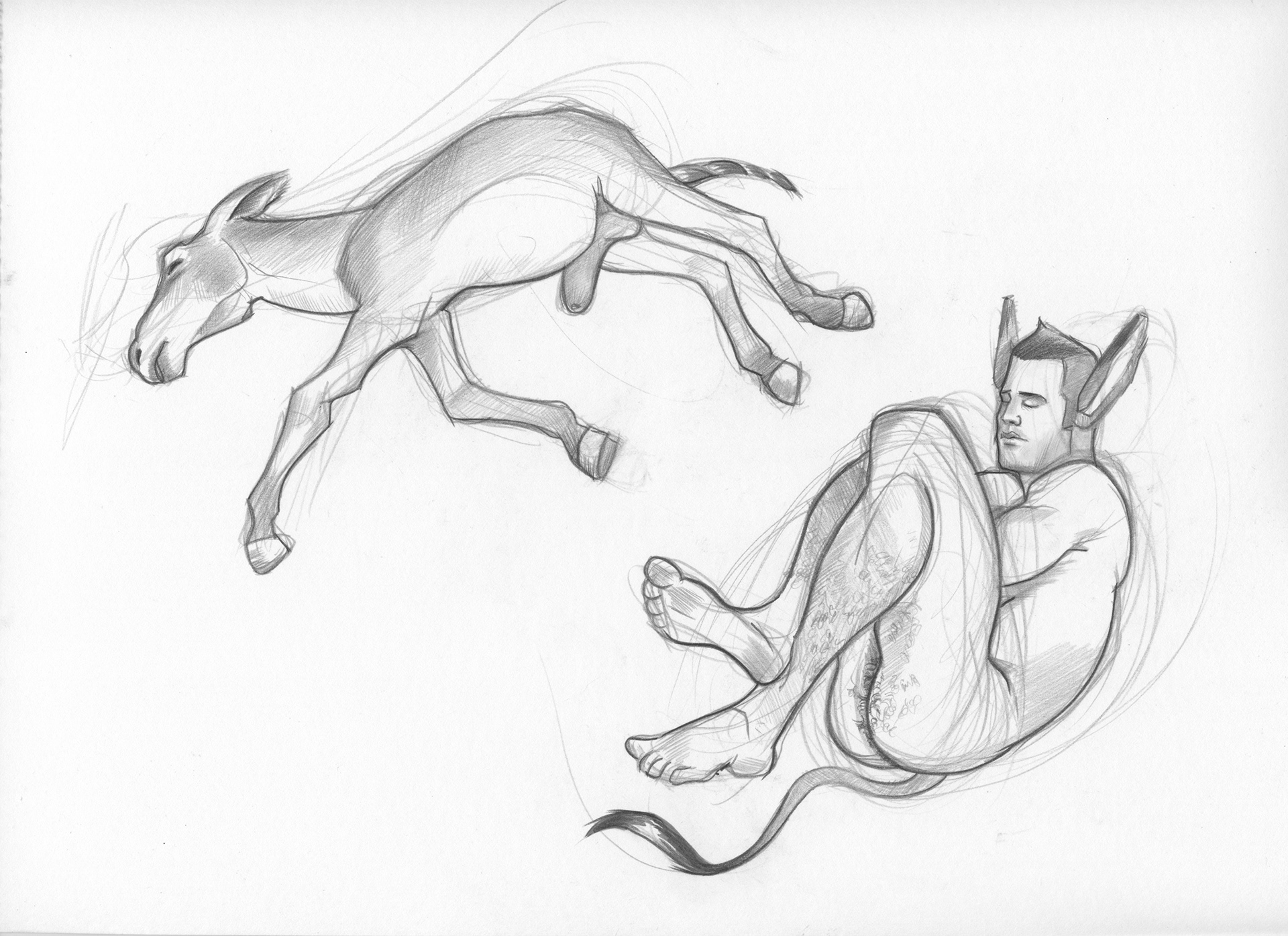 "Sleeping Donk 2", 2015, 12"x9", $150