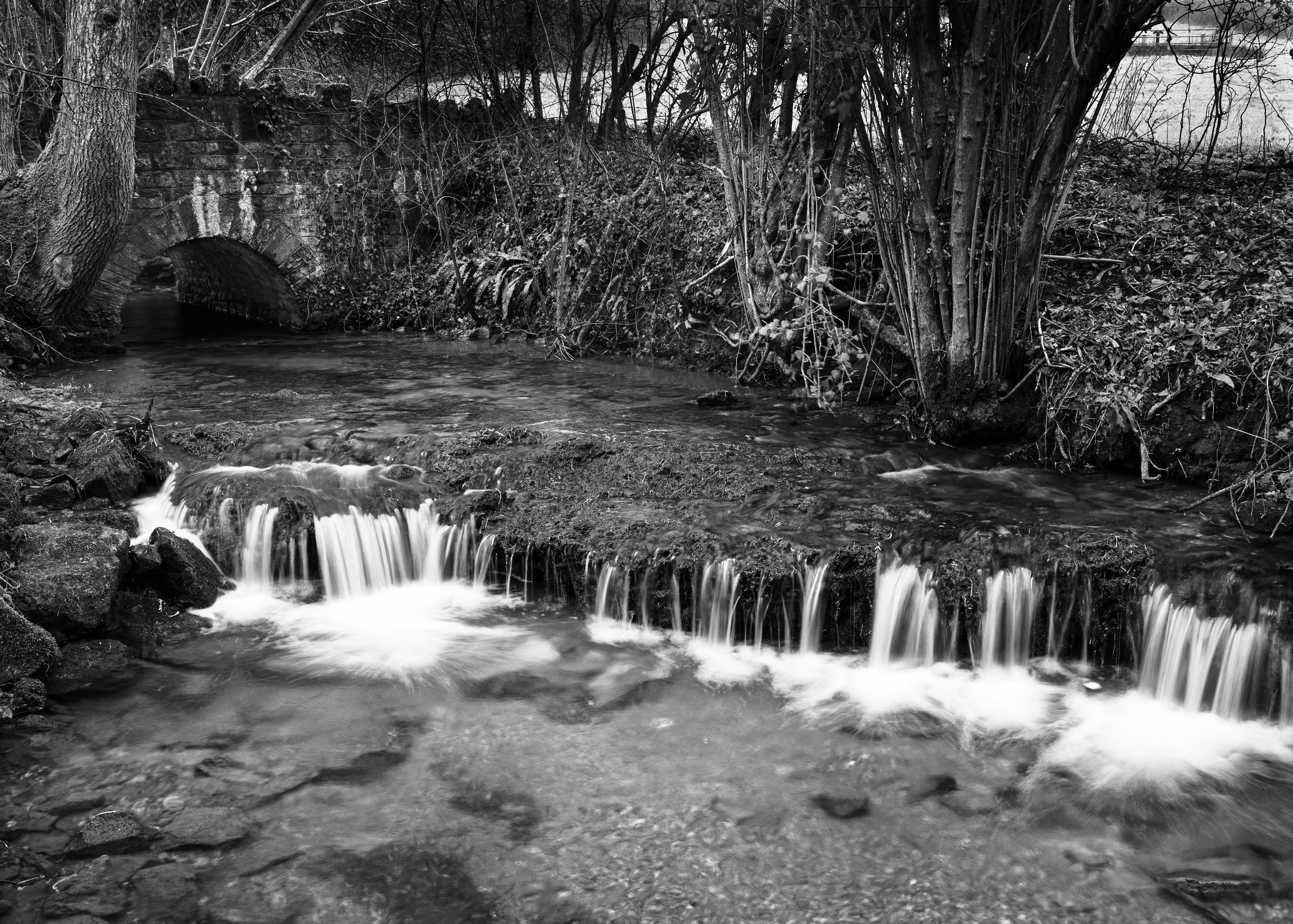Between Ford & Litton