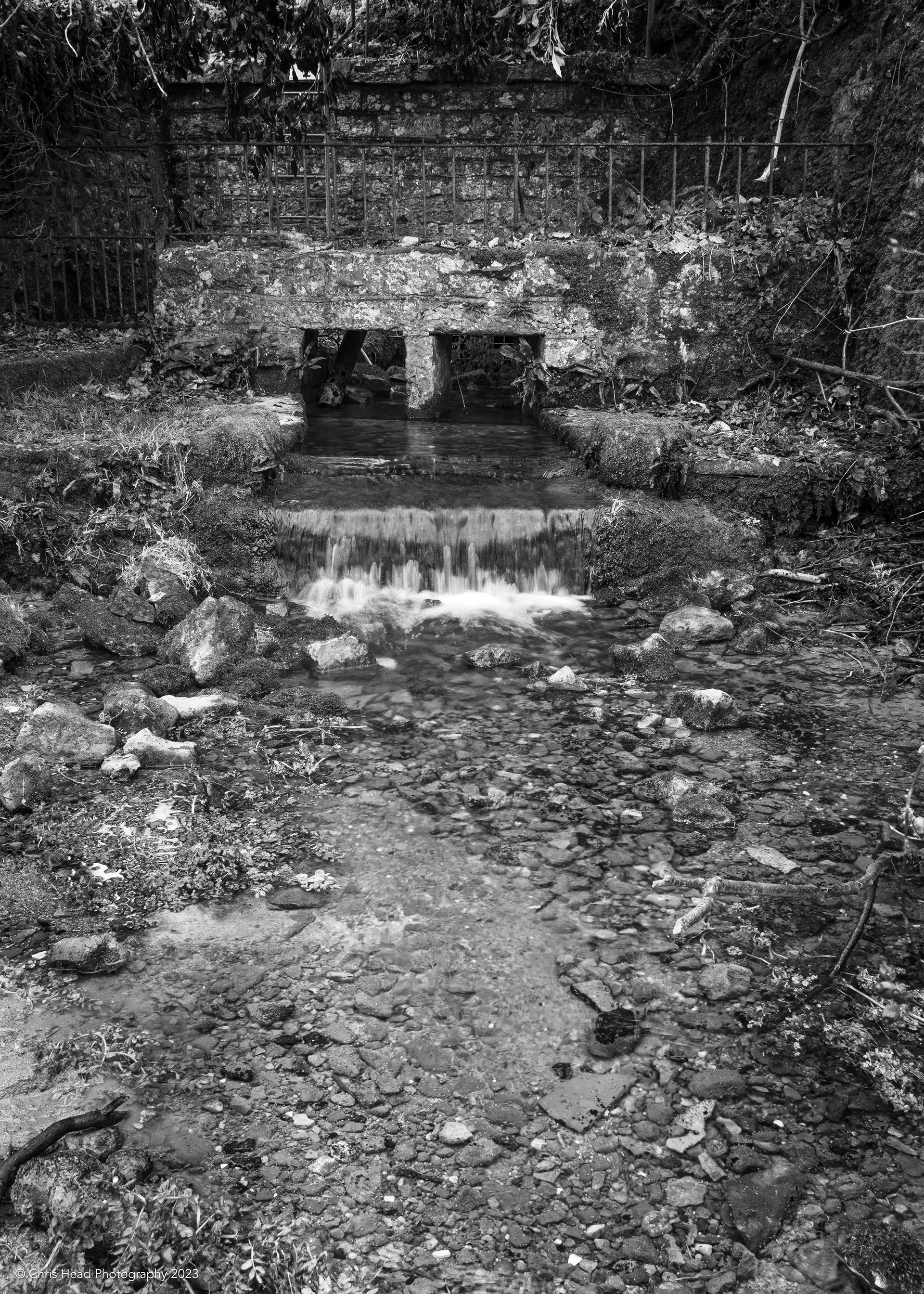 Chew Head, Chewton Mendip