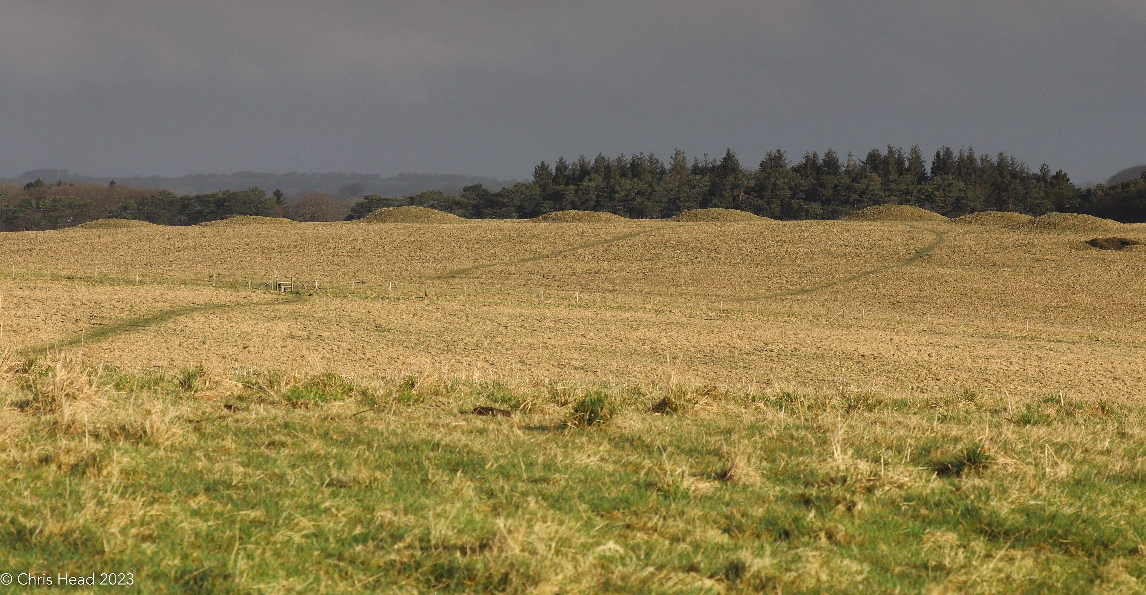 Priddy Nine Barrows