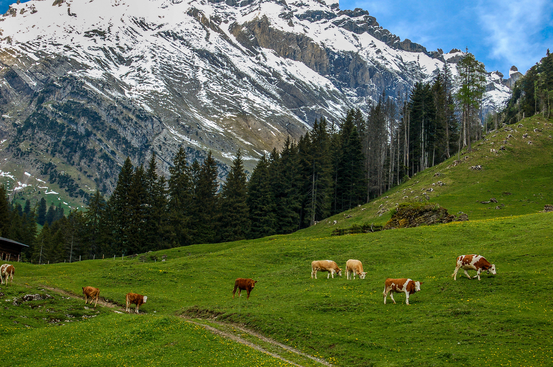 Swiss Alps
