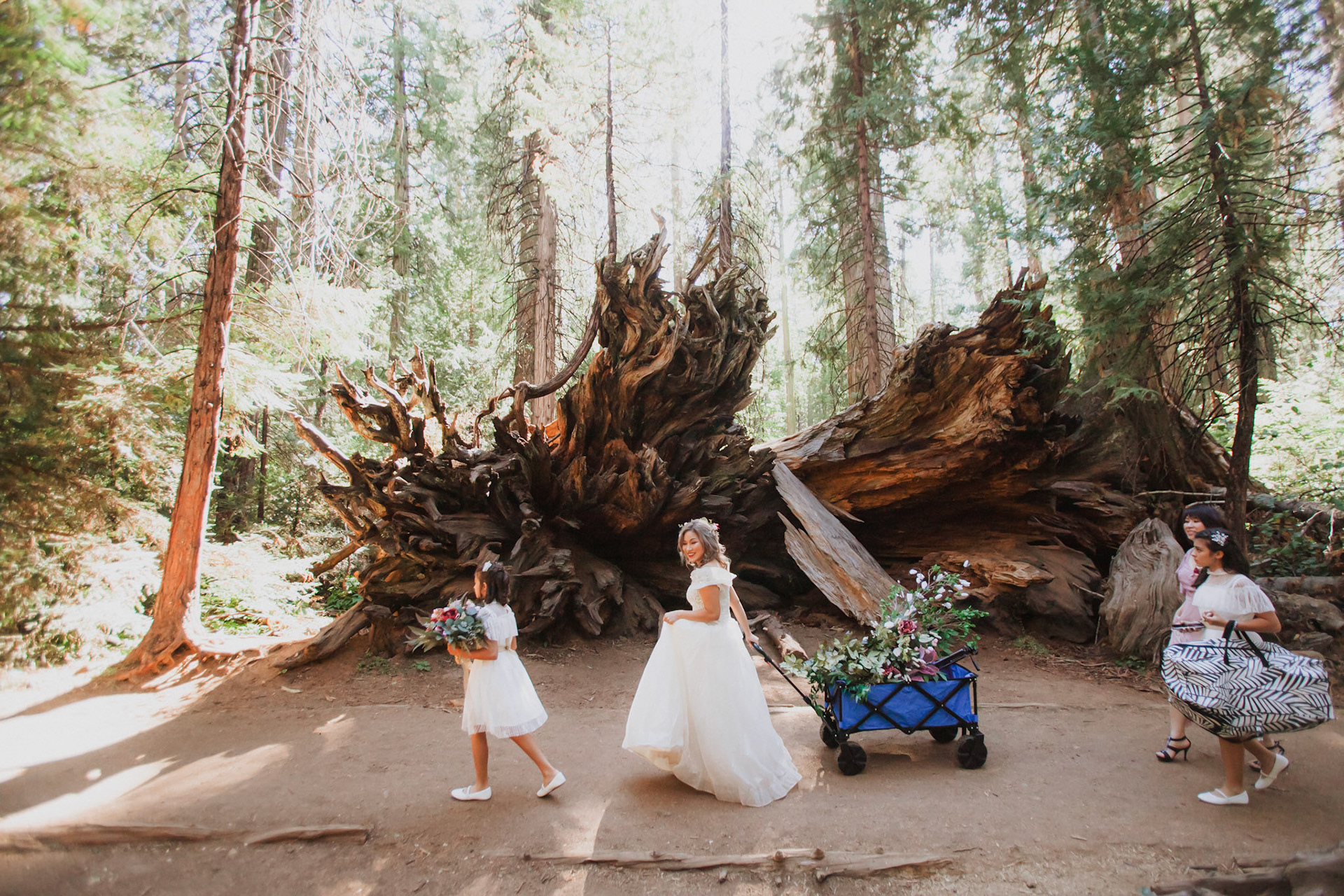 REDWOODS ELOPEMENT PHOTOGRAPHY