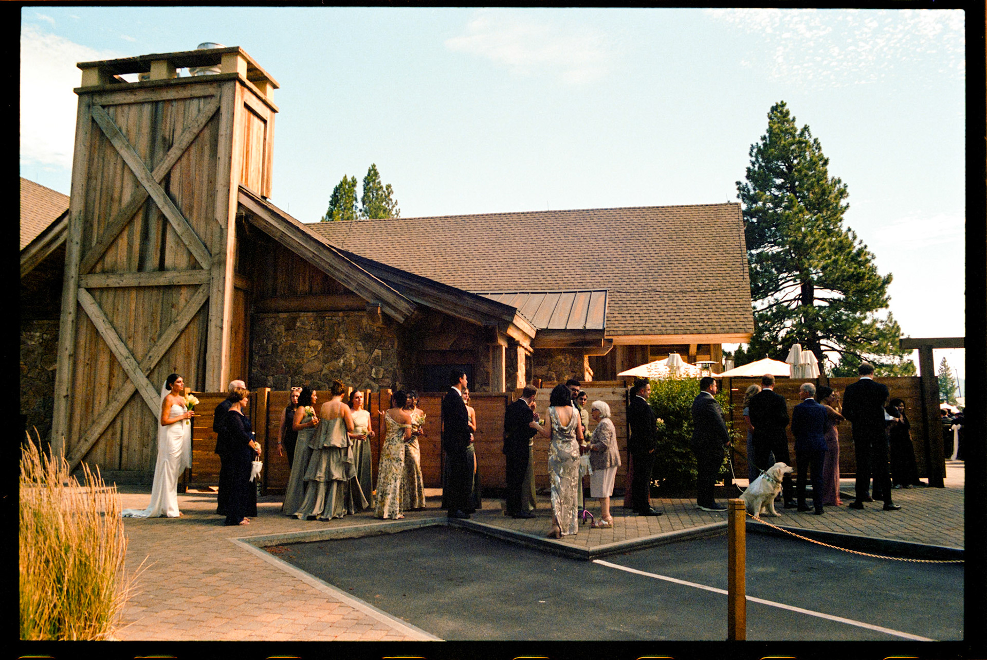 An open-air wedding ceremony beneath the pines at The Timbers at Old Greenwood.