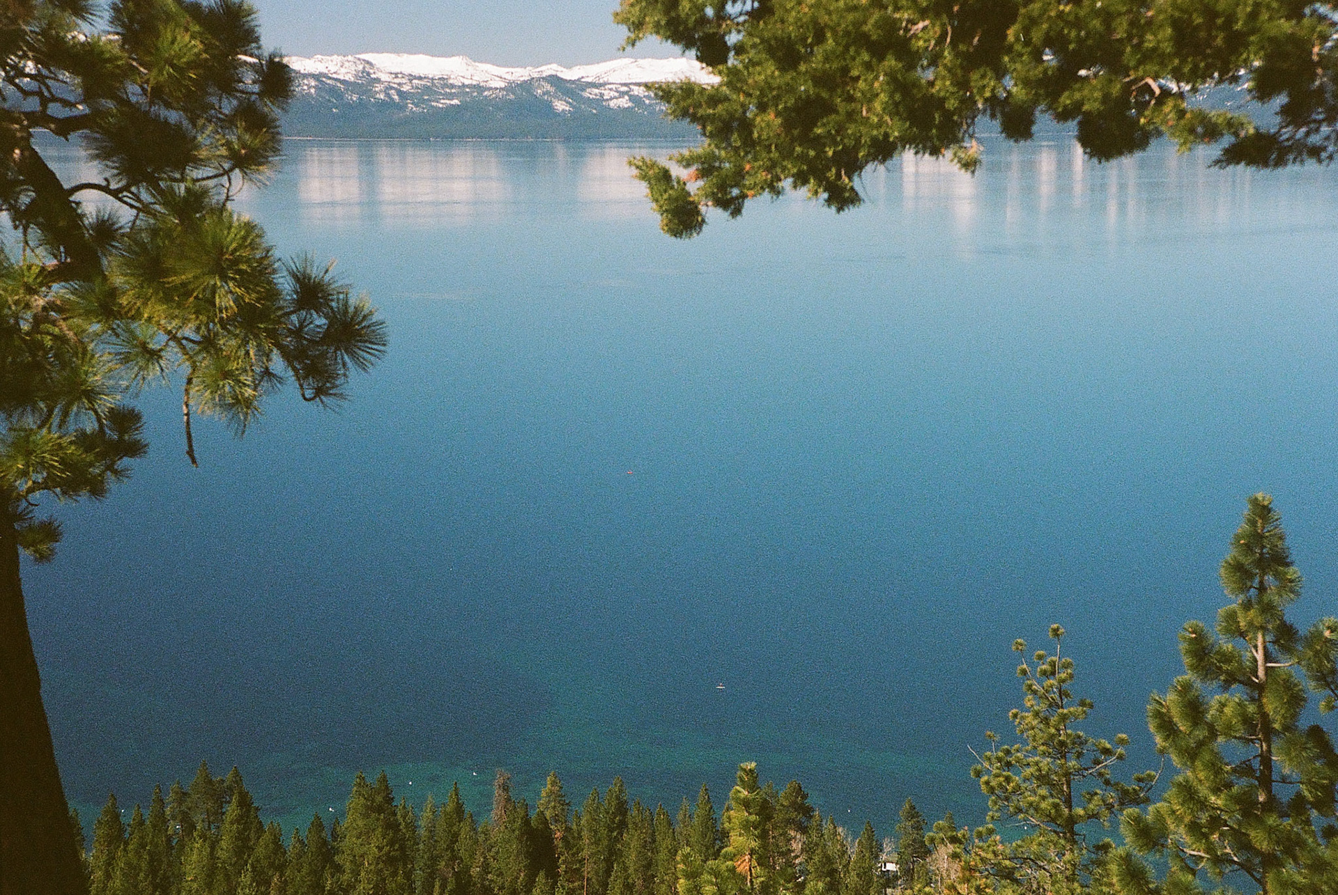 documentary style wedding photos film photographer film wedding photographer kelly-sharp.com kelly sharp photography wedding photos
