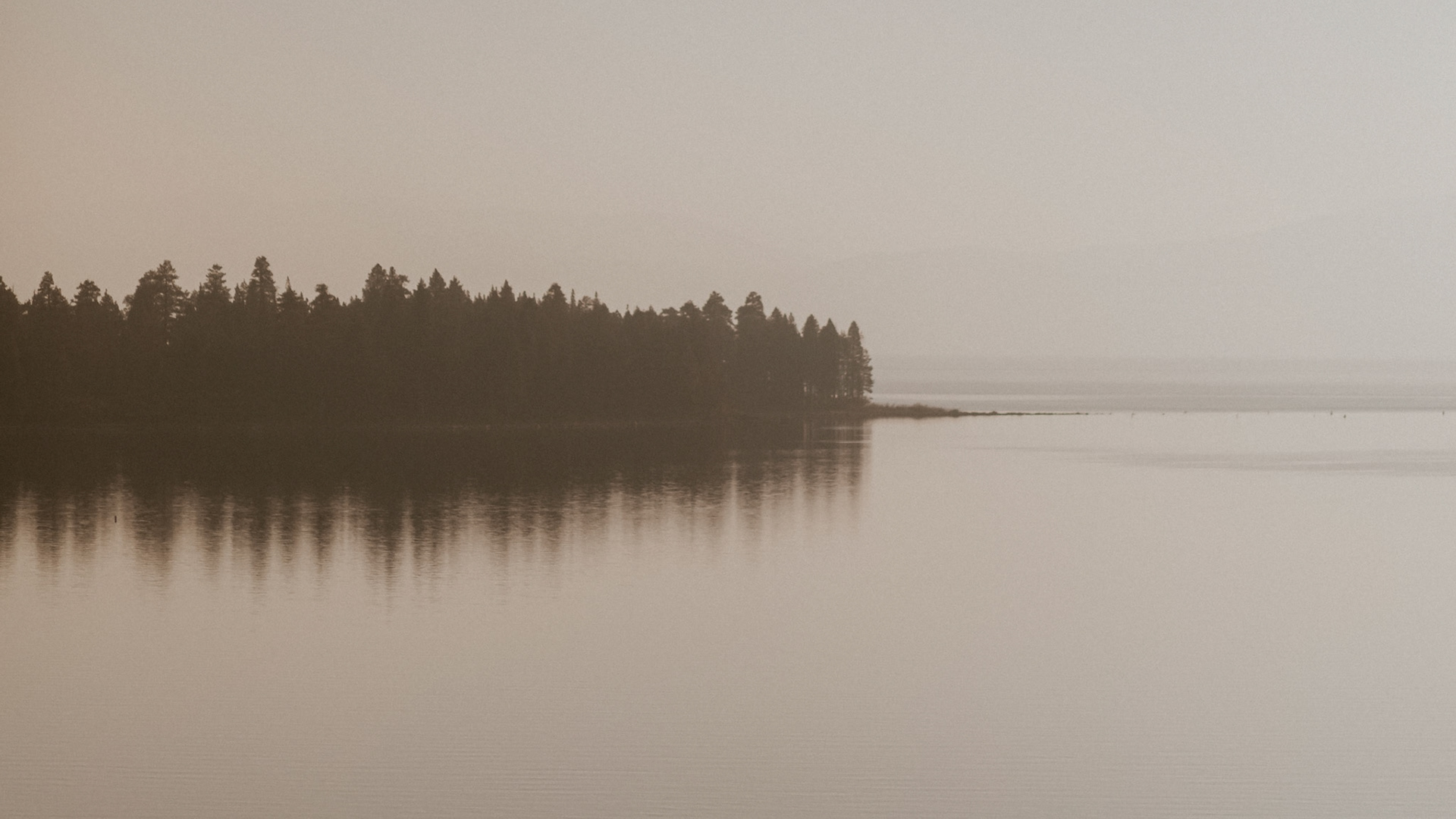 documentary style wedding photos film photographer film wedding photographer kelly-sharp.com kelly sharp photography wedding photos