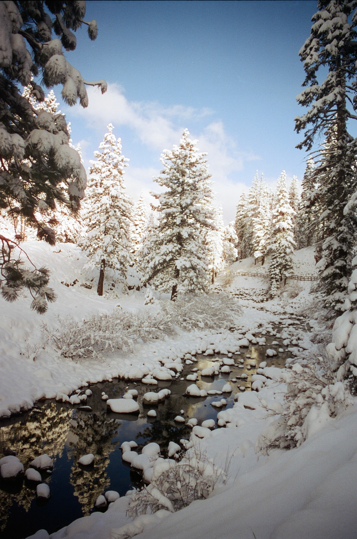 documentary style wedding photos film photographer film wedding photographer kelly-sharp.com kelly sharp photography wedding photos