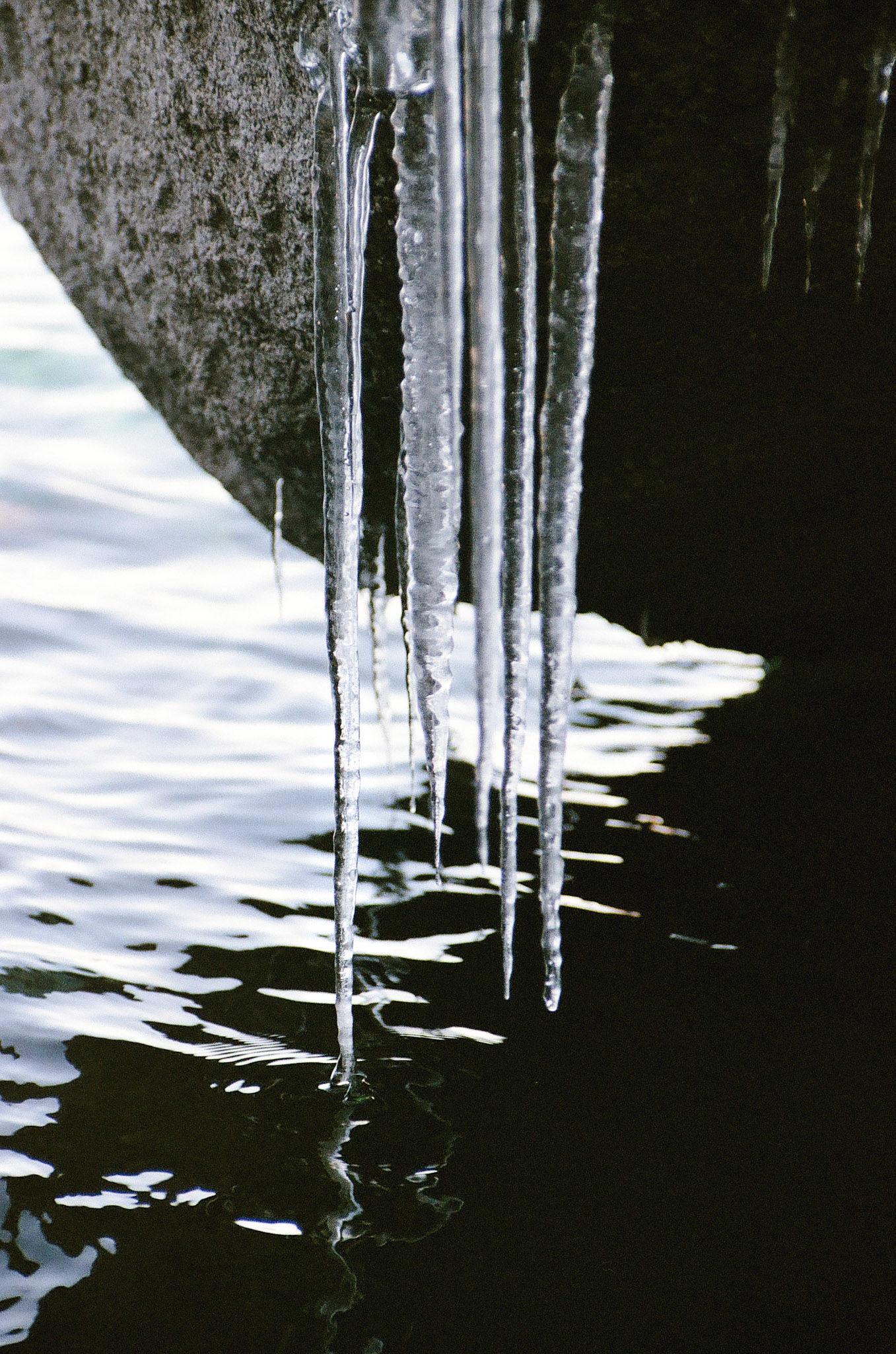 documentary style wedding photos film photographer film wedding photographer kelly-sharp.com kelly sharp photography wedding photos