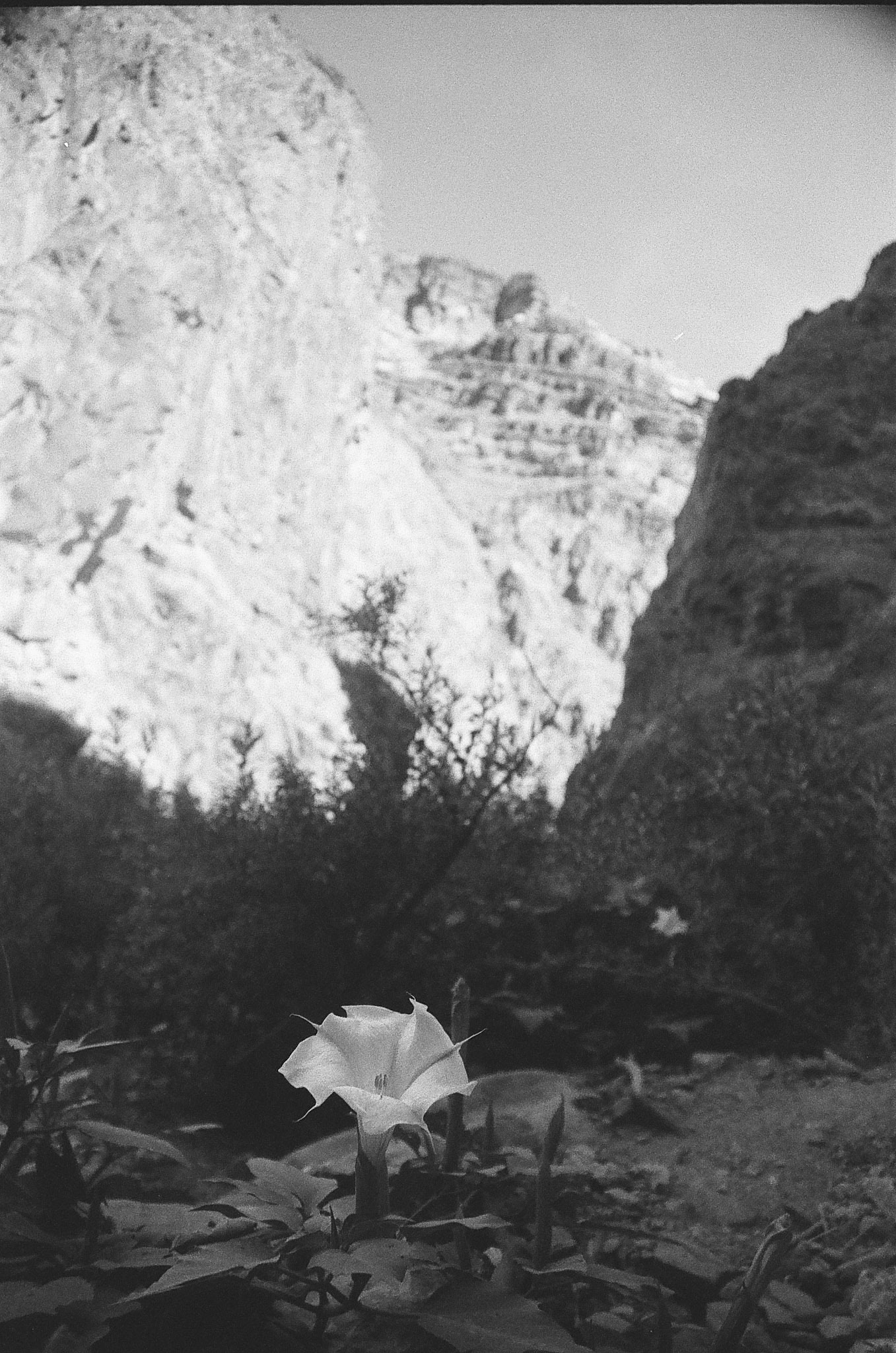 documentary style wedding photos film photographer film wedding photographer kelly-sharp.com kelly sharp photography wedding photos