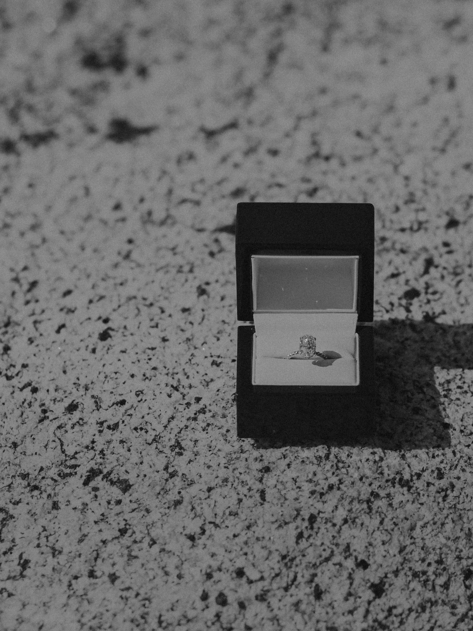 yosemite engagement photographer