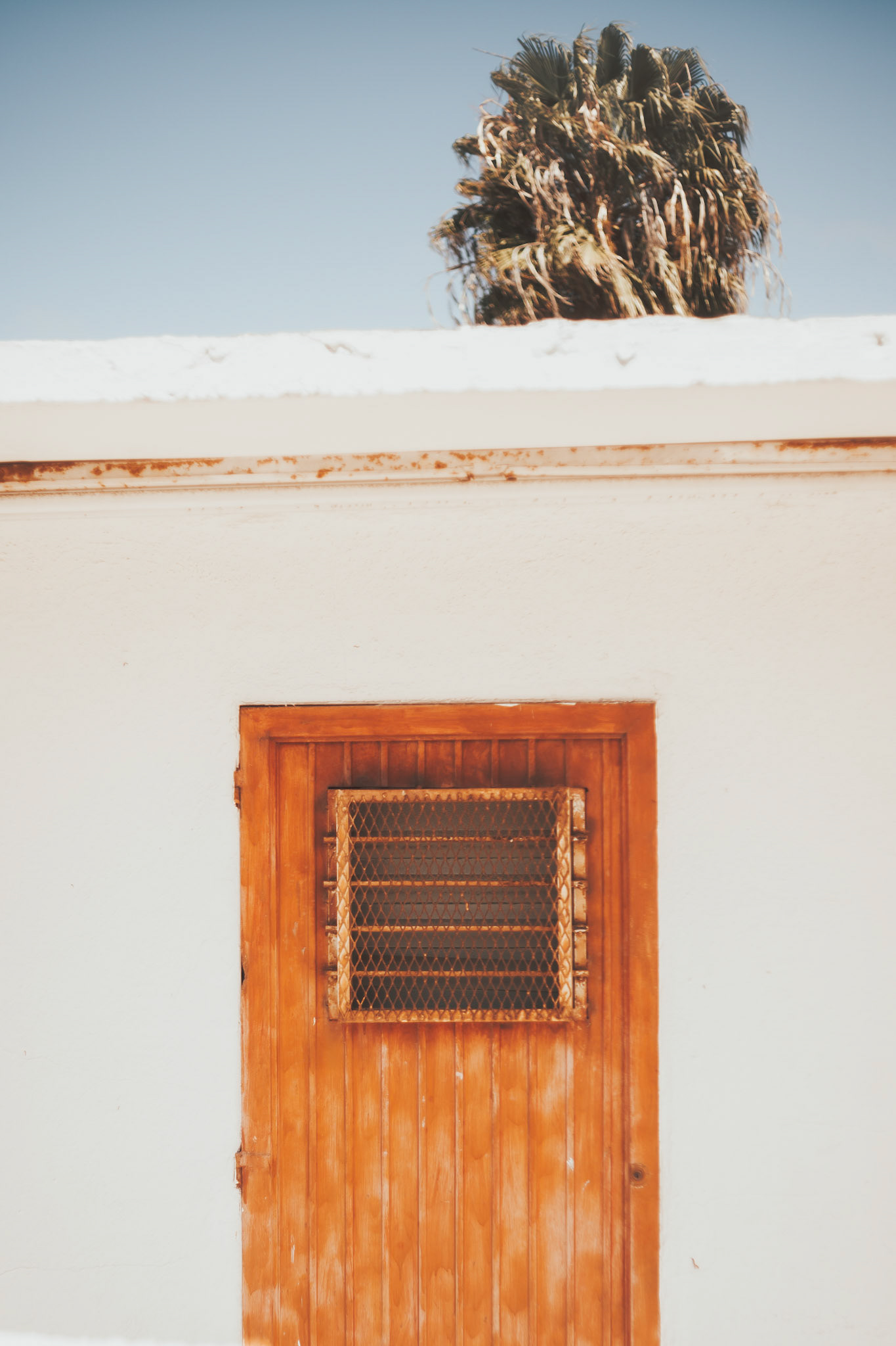 documentary style wedding photos film photographer film wedding photographer kelly-sharp.com kelly sharp photography wedding photos