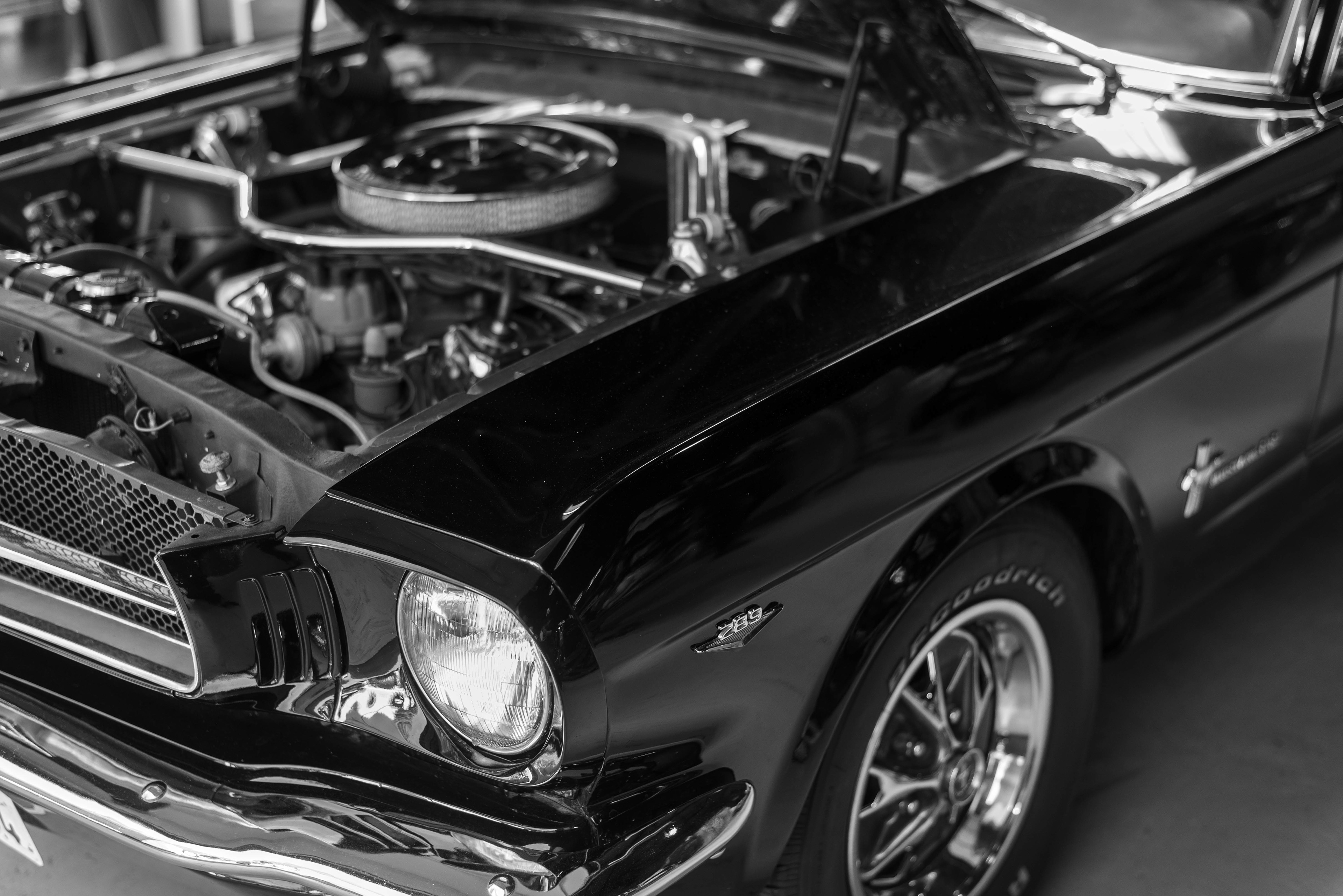 Mustang - Daytona 73 - AVEC & Co Rennes - Simon's Garage - Jessy Hochart