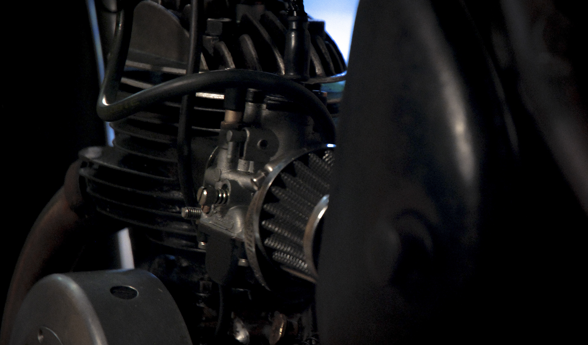 Zoë David - Terrot - Simon's Garage