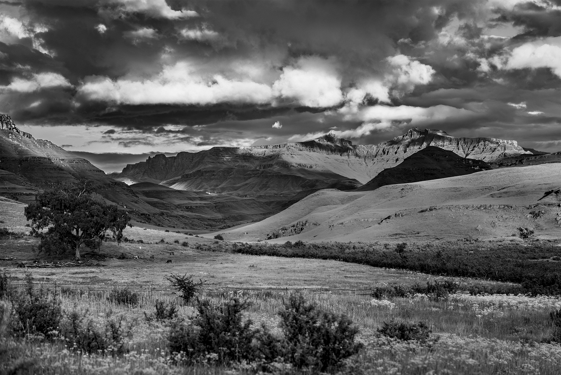 alt="landscape photography black-and-white mountain drakensberg""