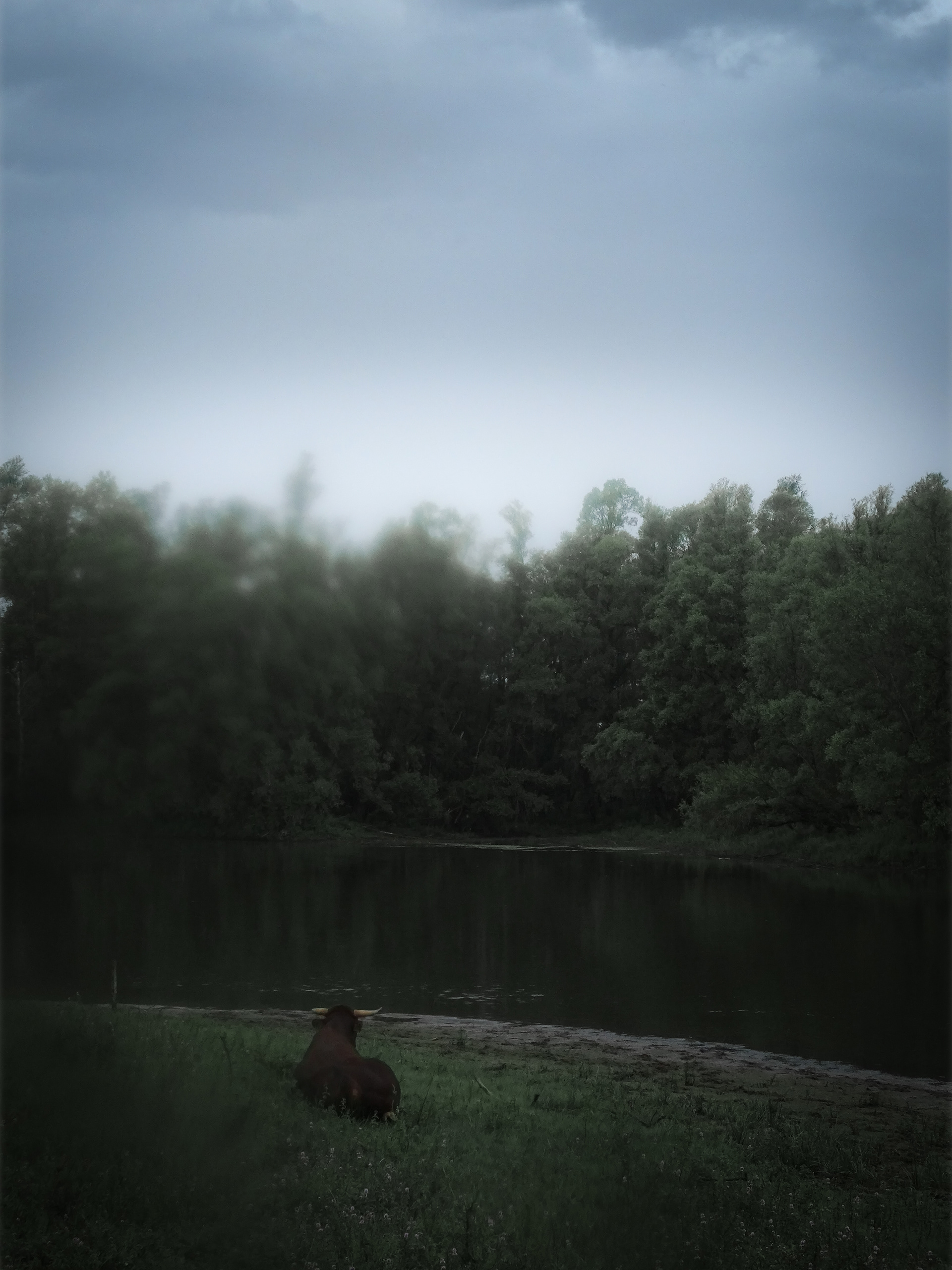 Caught in the Rain #2