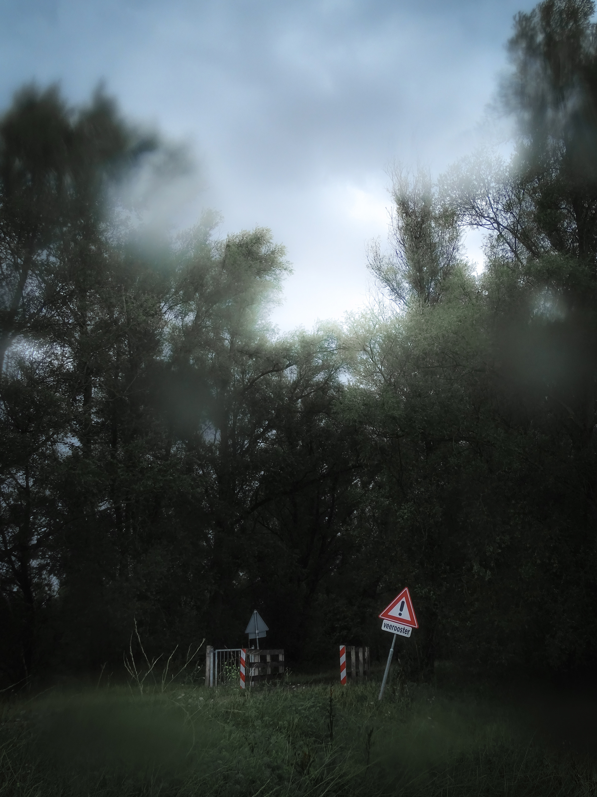 Caught in the Rain #3