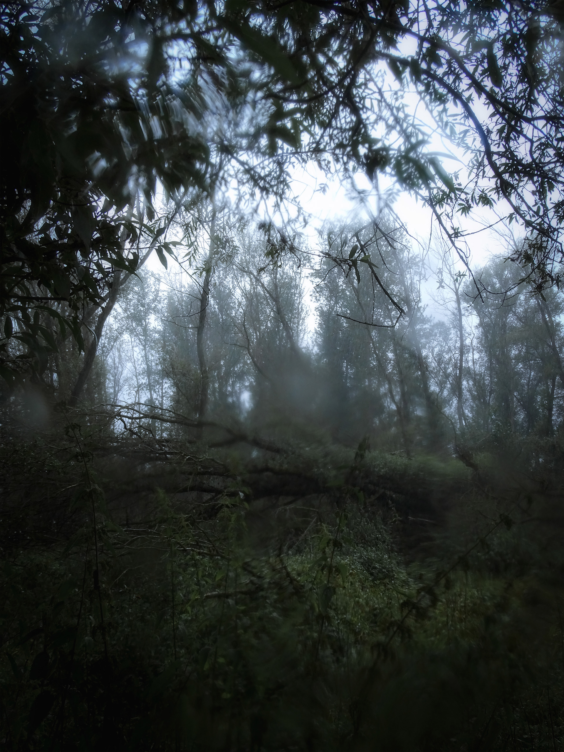 Caught in the Rain #1