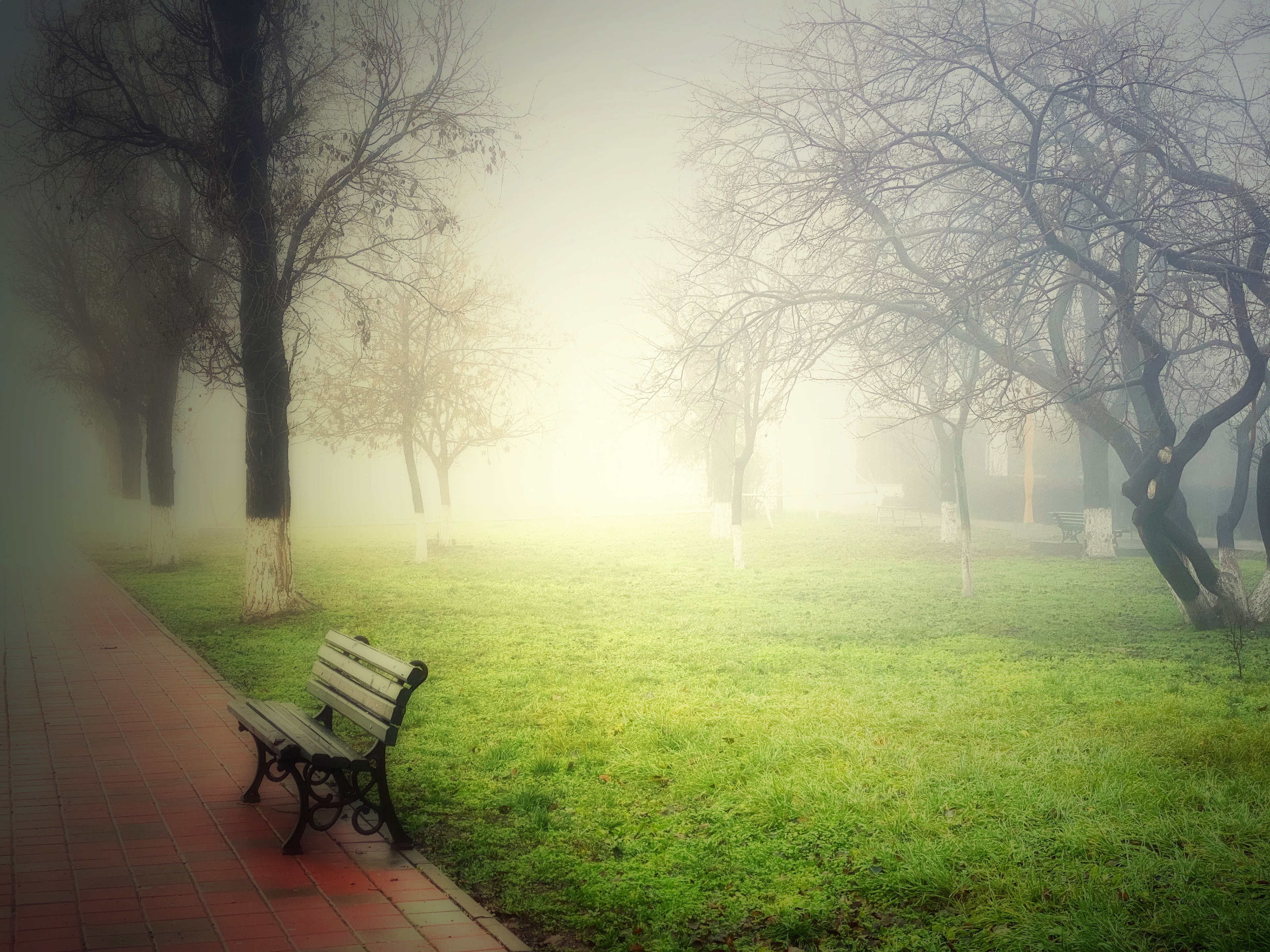 2021, Iasi, Romania - That would be one of my favourite. Who doesn't feel the mystery around the surrounding fog ? This small park is on the way to my workplace and even if I take the same route daily , the nature still shows me different sceneries then and now.