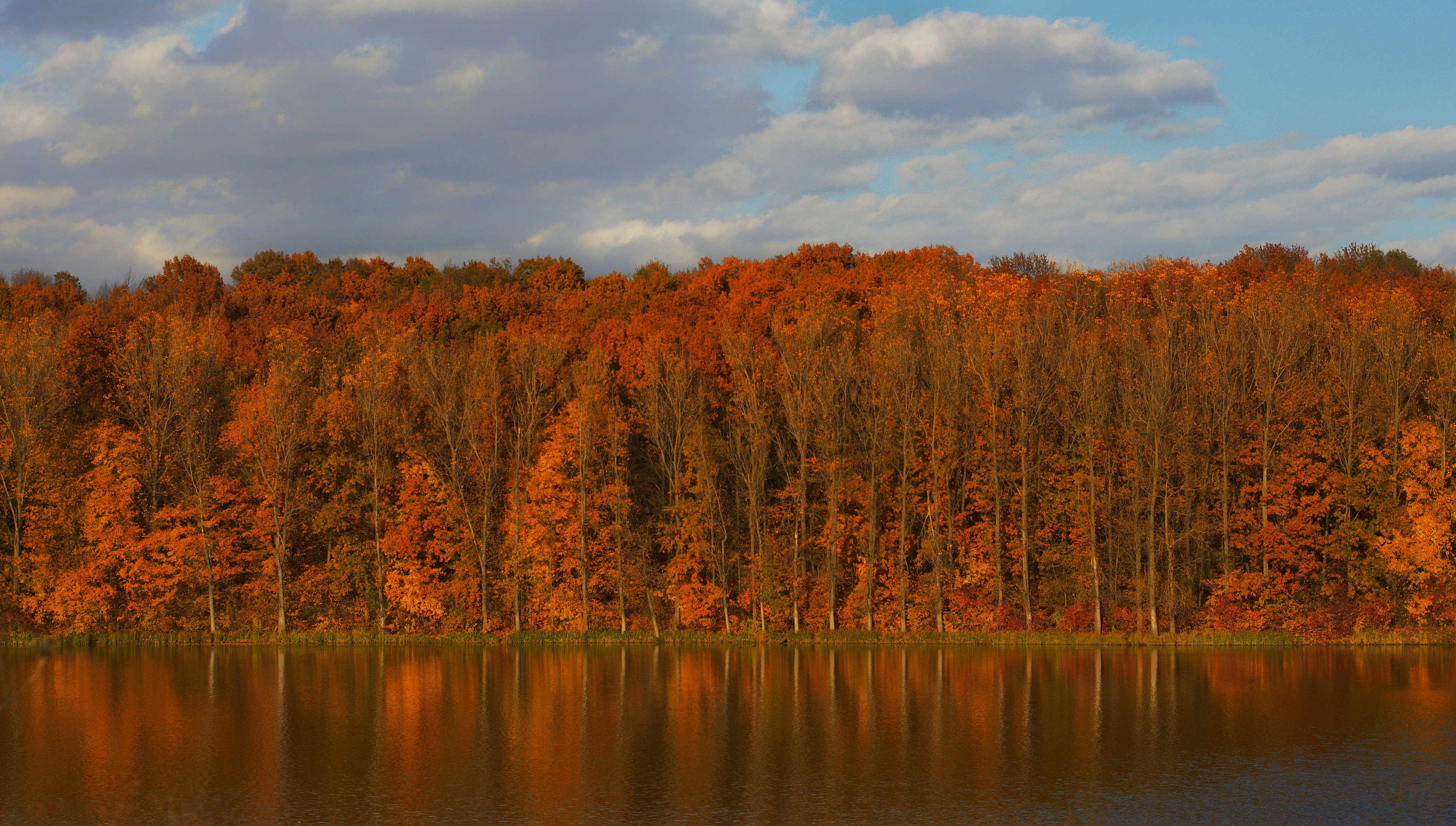 2021, Iasi, Romania - I am always taking the camera everywhere I go, of course, being in the car is not an obstacle of observing and taking photos. Especially when the nature plays its role and is giving you all the reasons to enjoy it, earthly colors and reflections. 