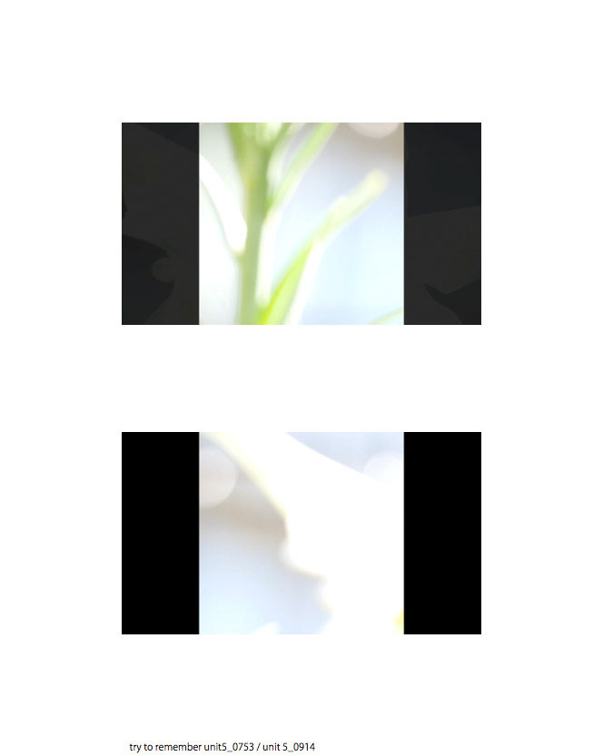 try to remember unit 5