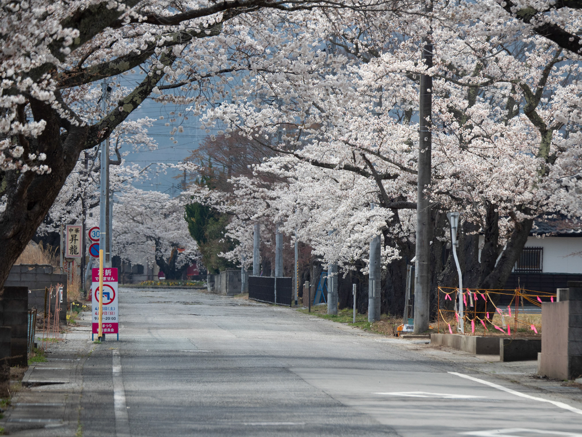 富岡町夜ノ森