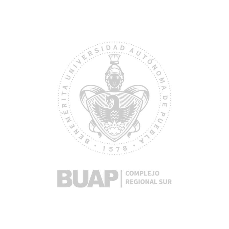BENEMÉRITA UNIVERSIDAD AUTÓNOMA DE PUEBLA