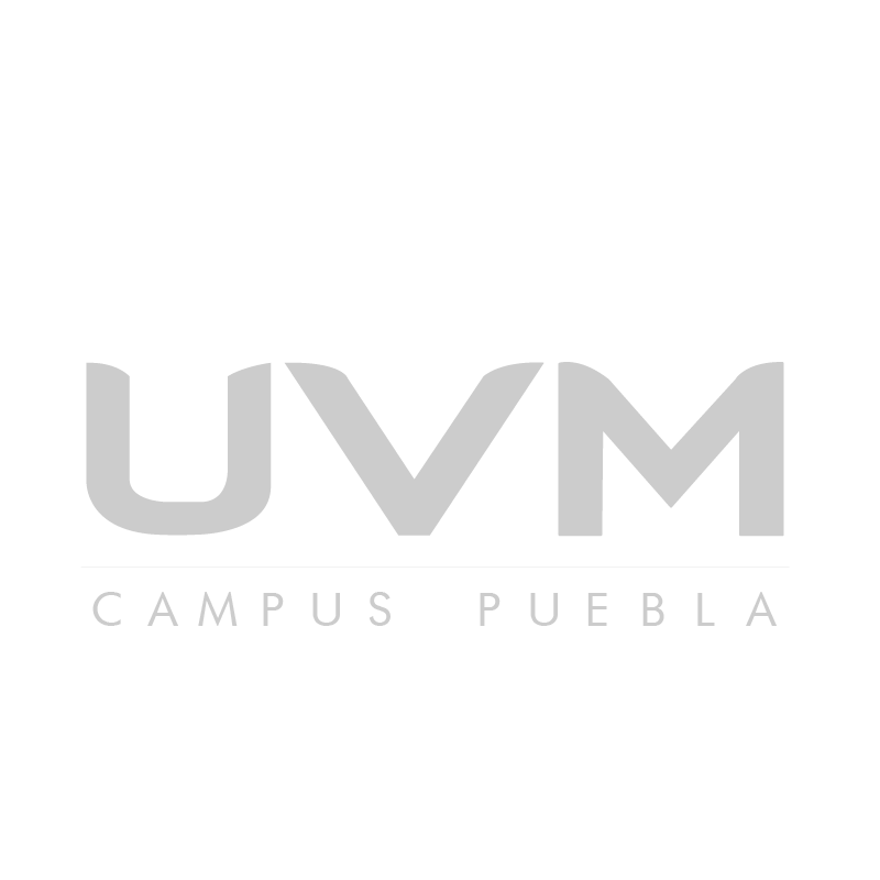 UNIVERSIDAD DEL VALLE DE MÉXICO