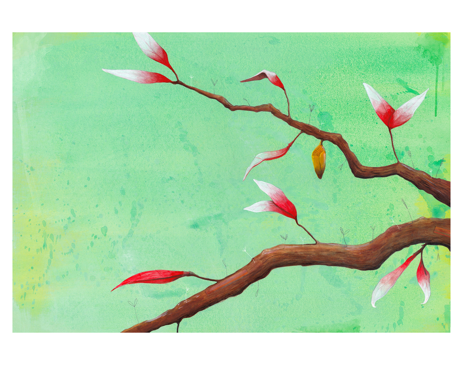 De onde nascem as perguntas? - Alexandre Coimbra Amaral | Melhoramentos | 2025