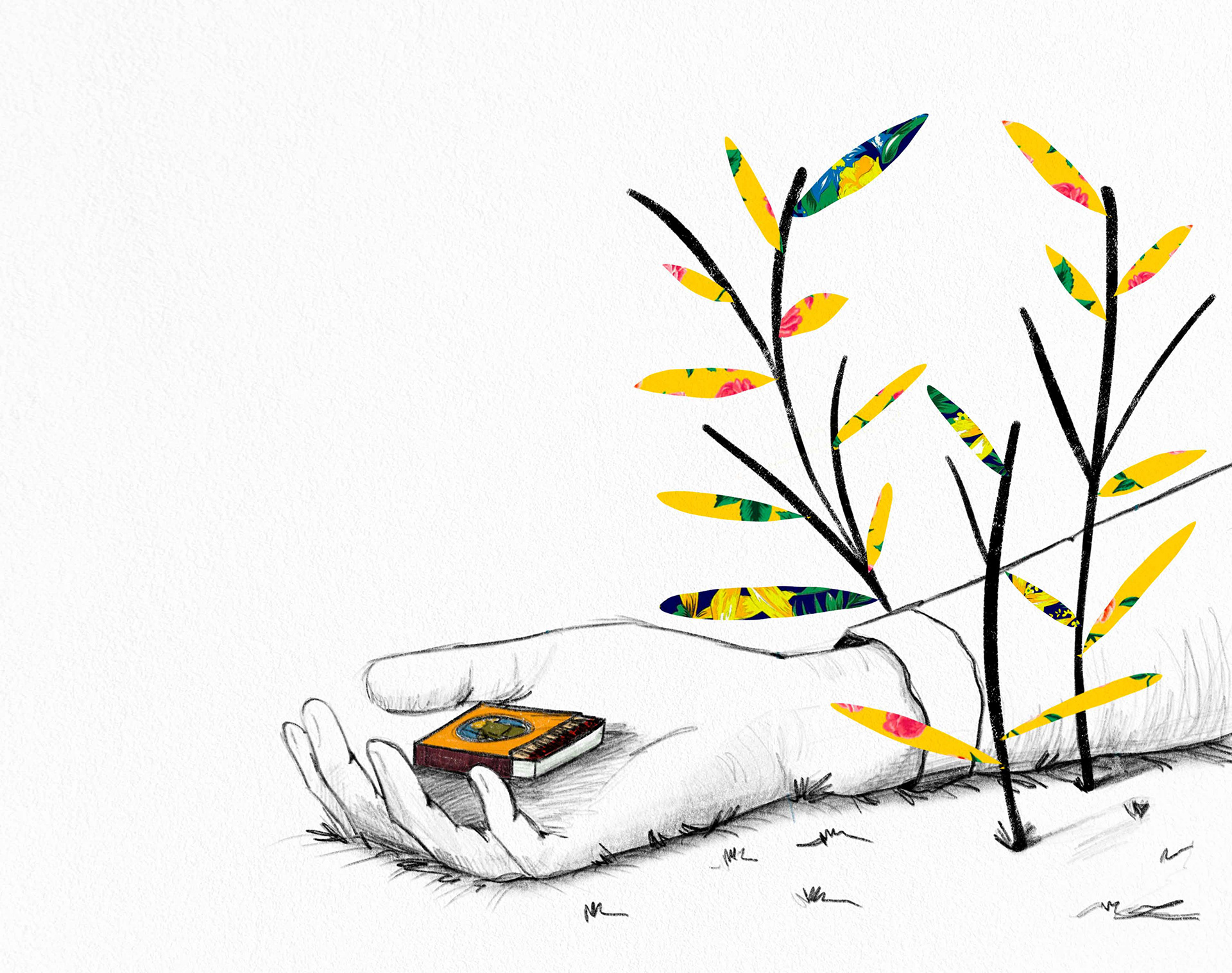 Revista Sepé | 2020 | Digital